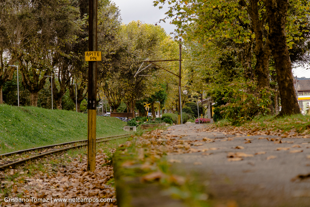 Outono-2019-Cristiano-Tomaz-25341