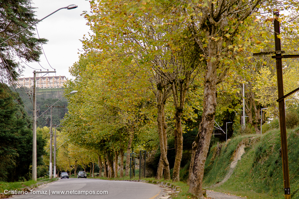 Outono-2019-Cristiano-Tomaz-25391