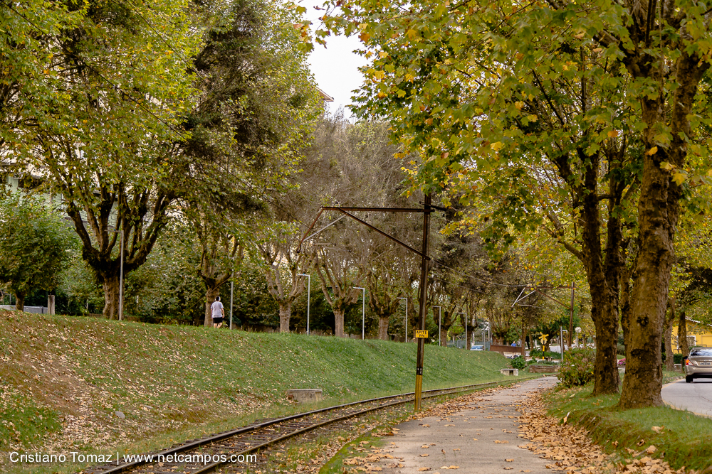 Outono-2019-Cristiano-Tomaz-25411