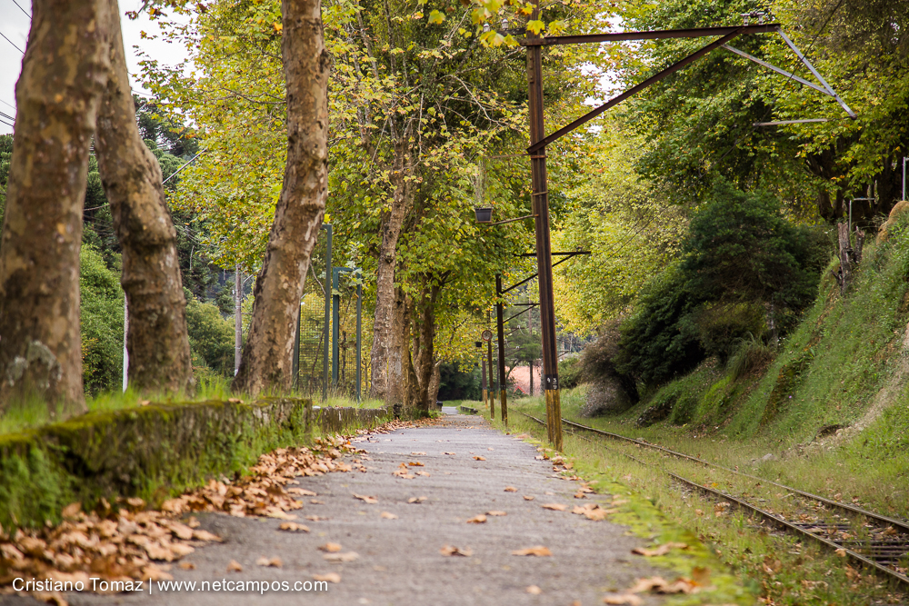 Outono-2019-Cristiano-Tomaz-25431