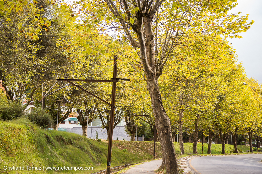 Outono-2019-Cristiano-Tomaz-25451