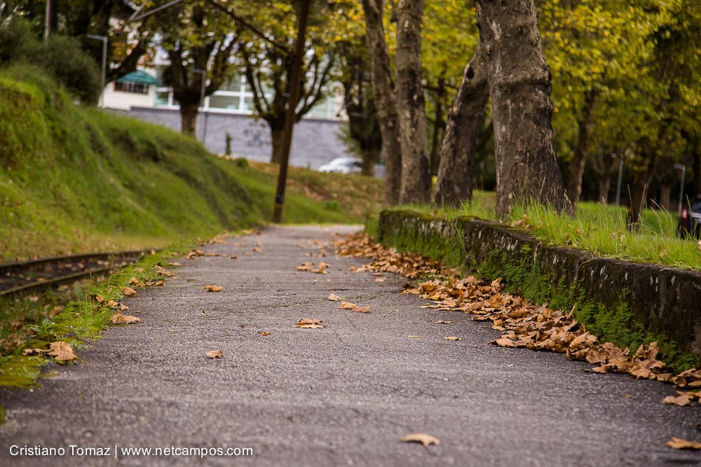 Outono-2019-Cristiano-Tomaz-25501