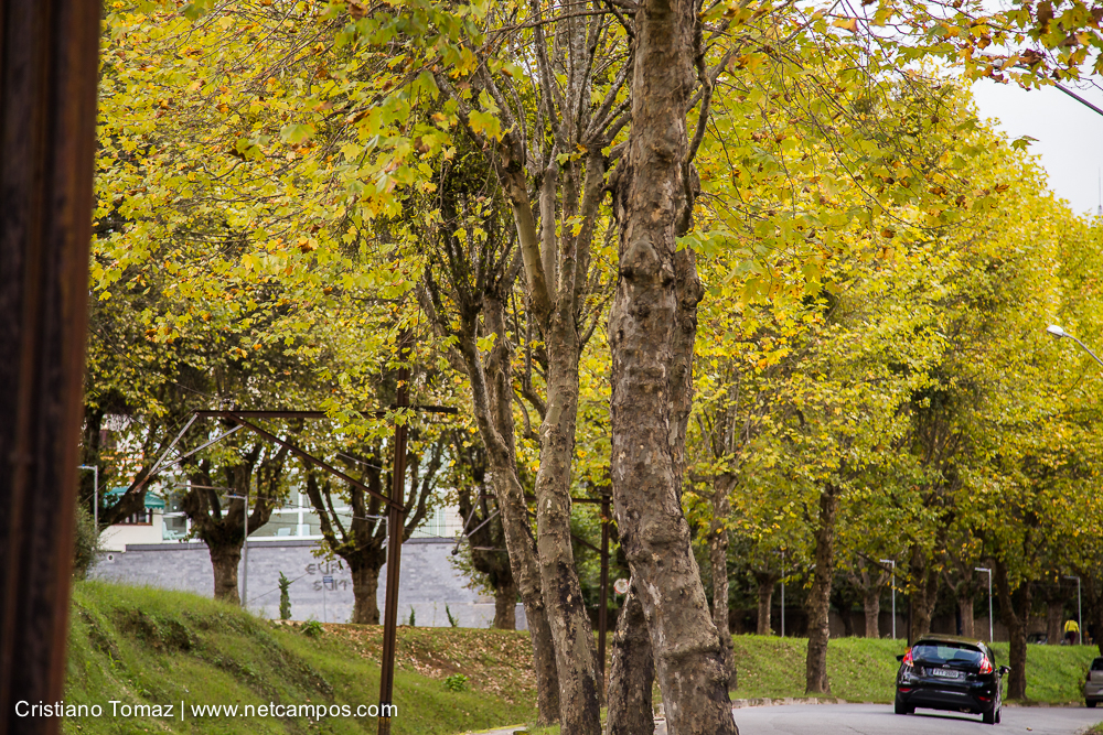 Outono-2019-Cristiano-Tomaz-25531