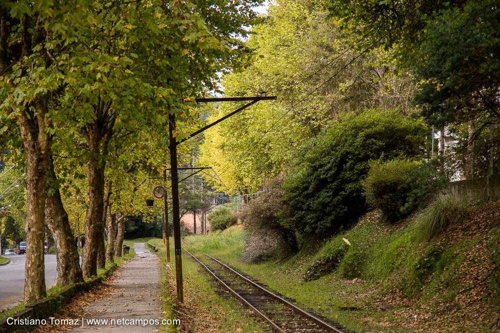 Outono-2019-Cristiano-Tomaz-25551