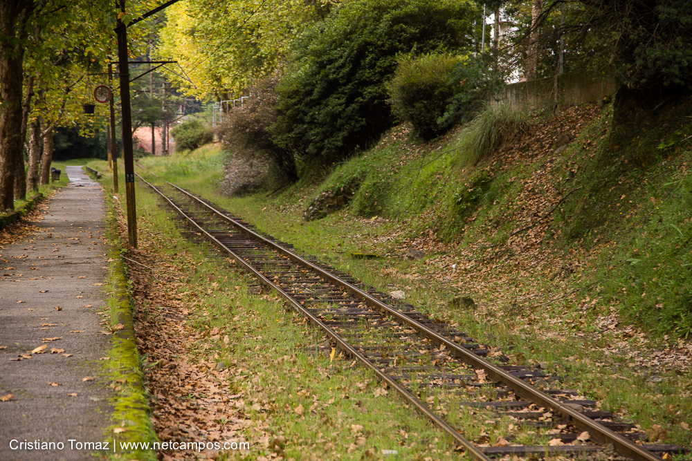 Outono-2019-Cristiano-Tomaz-25561