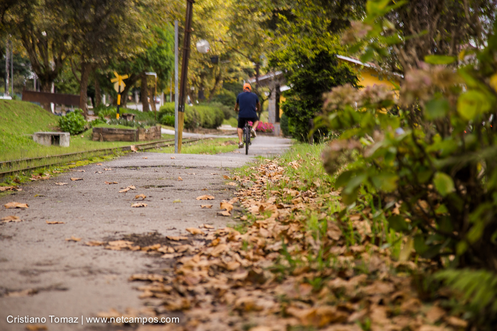 Outono-2019-Cristiano-Tomaz-25661