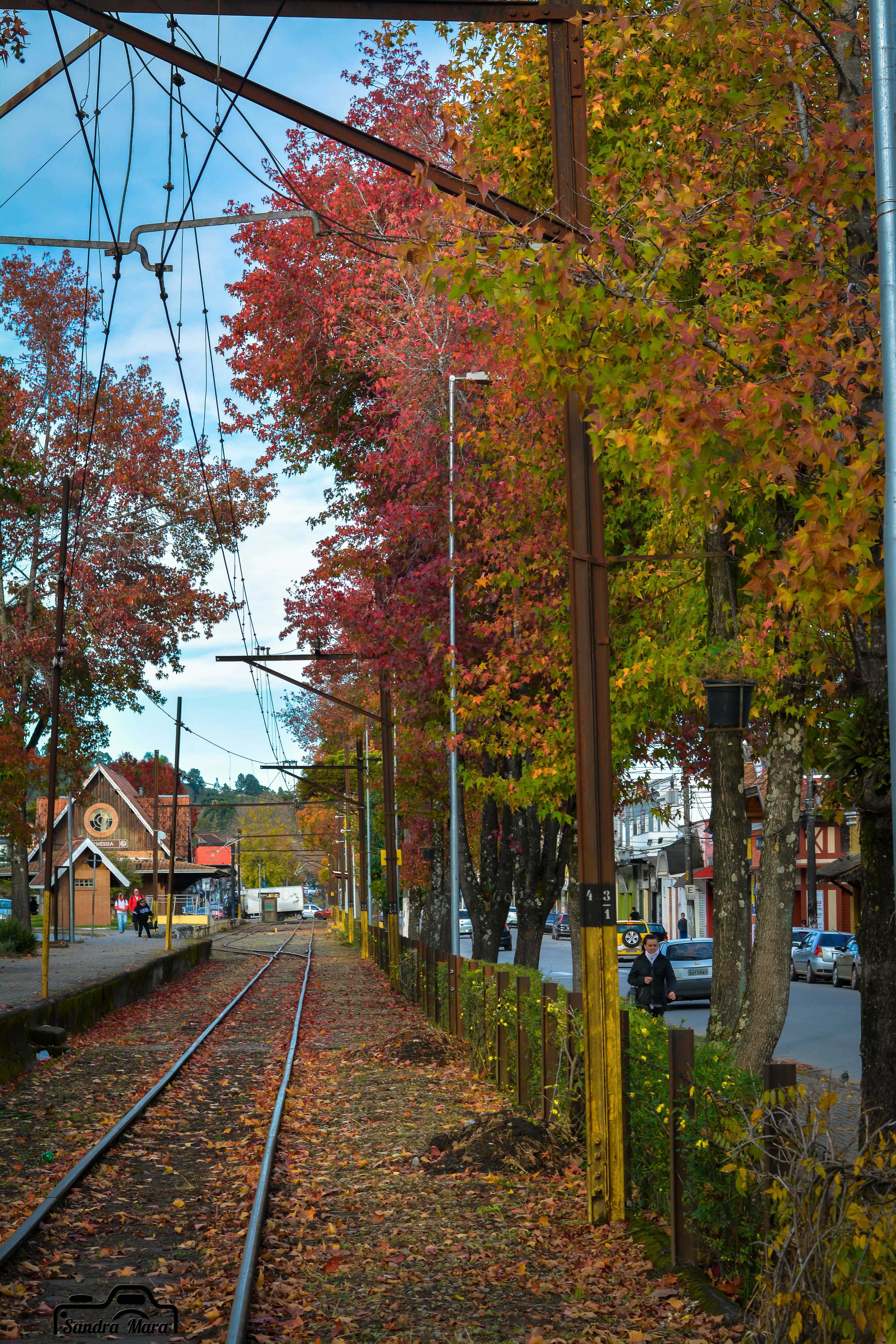 abernessia-campos-do-jordao-10
