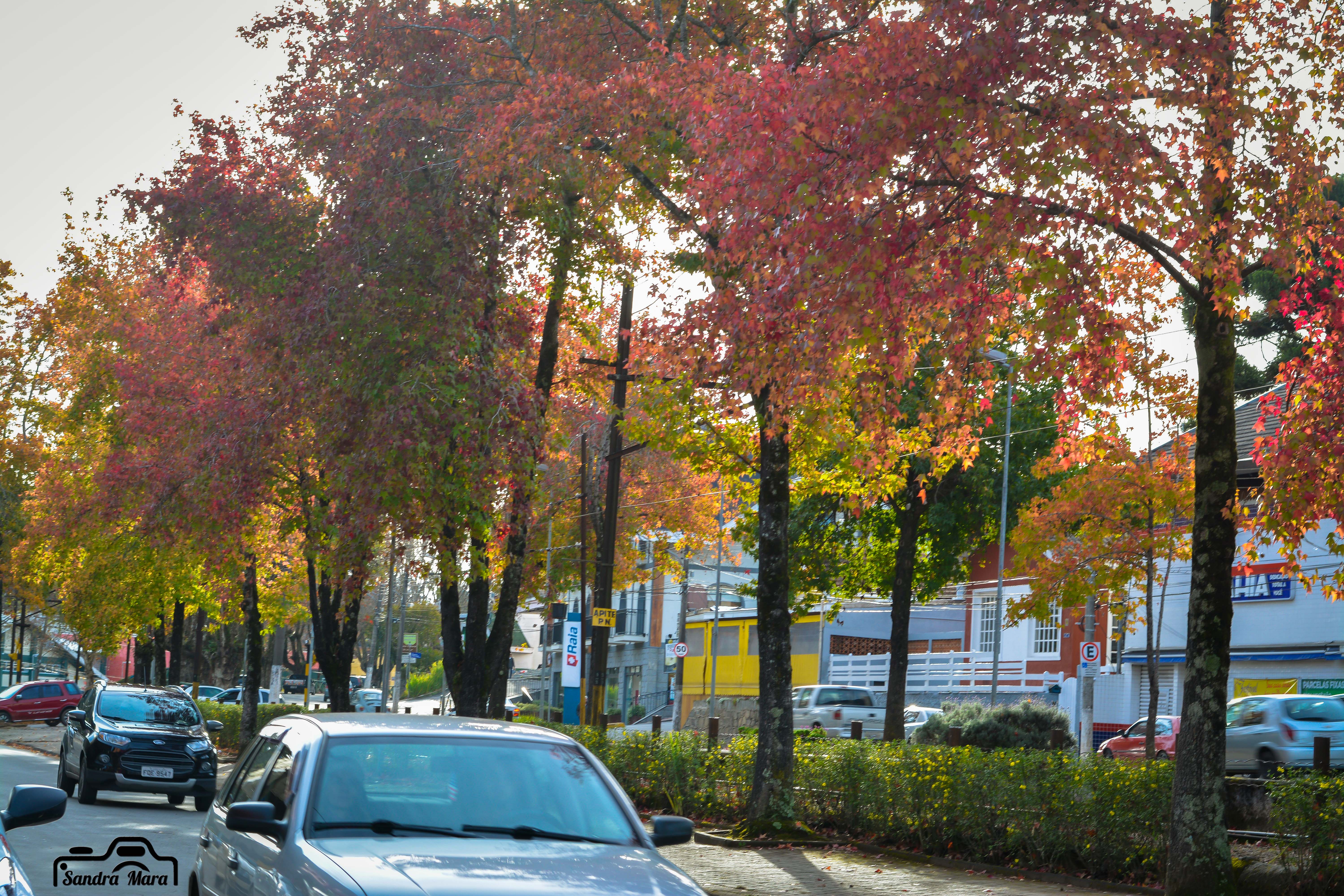 abernessia-campos-do-jordao-103