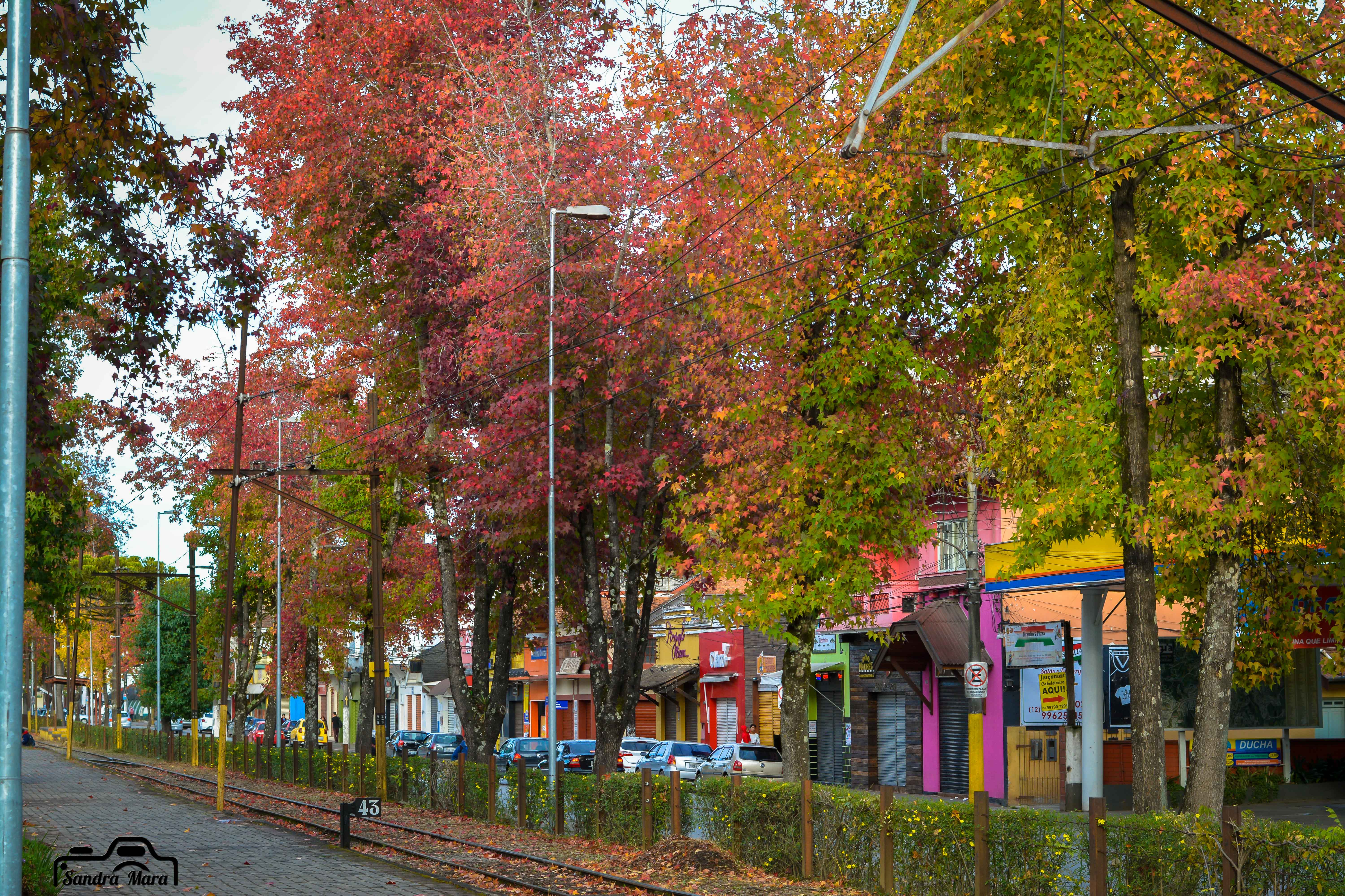 abernessia-campos-do-jordao-11