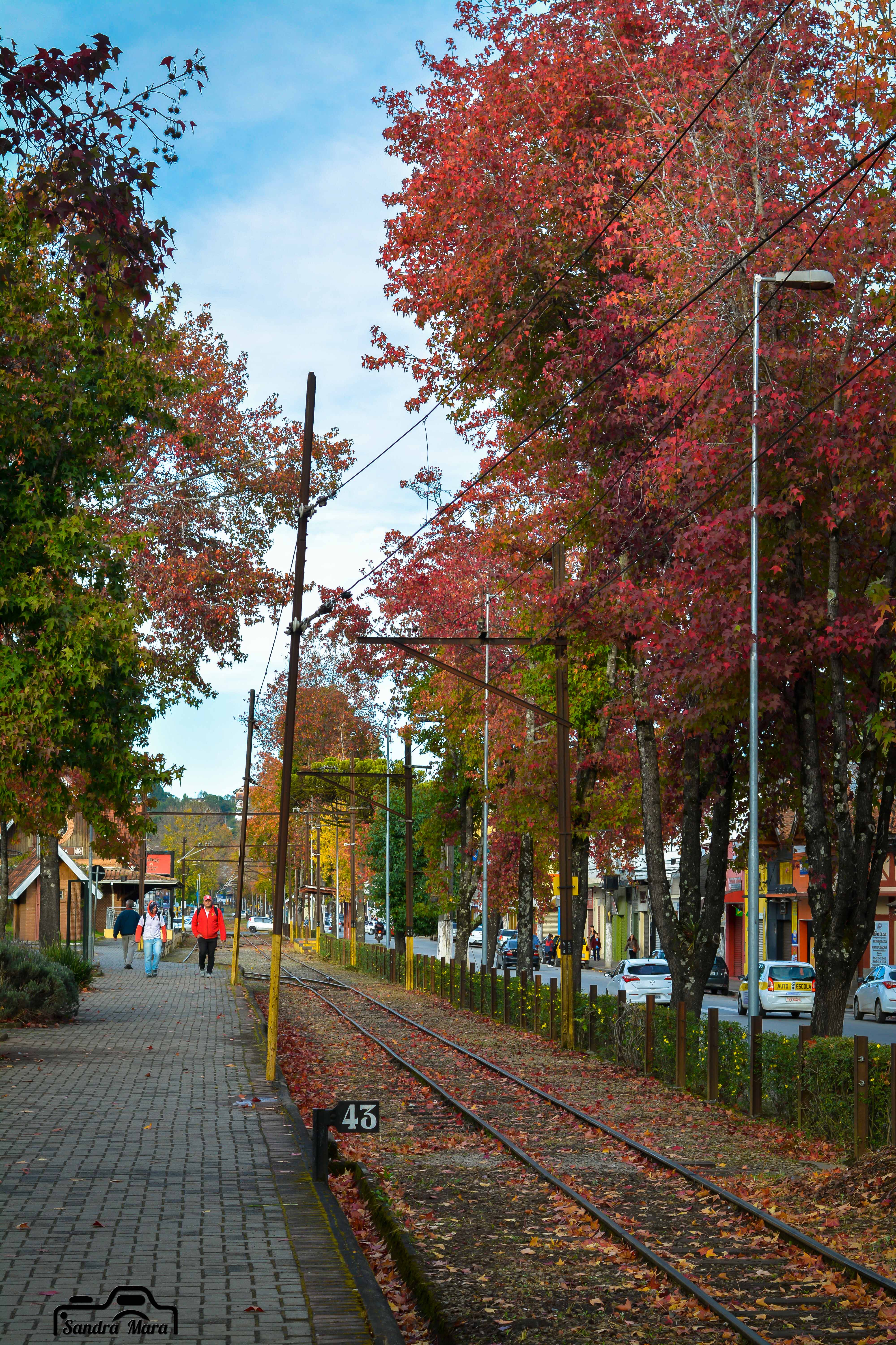 abernessia-campos-do-jordao-12