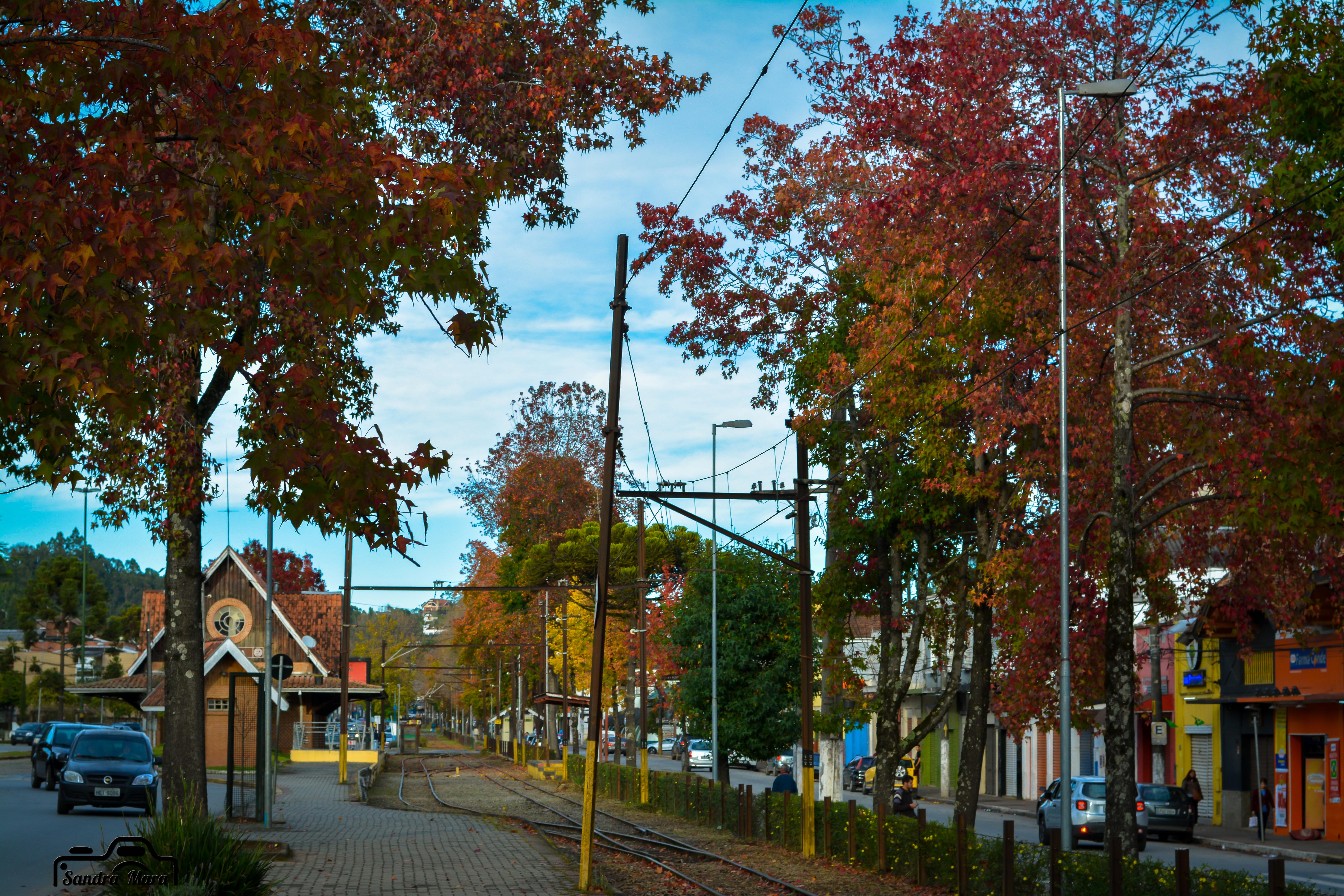 abernessia-campos-do-jordao-13