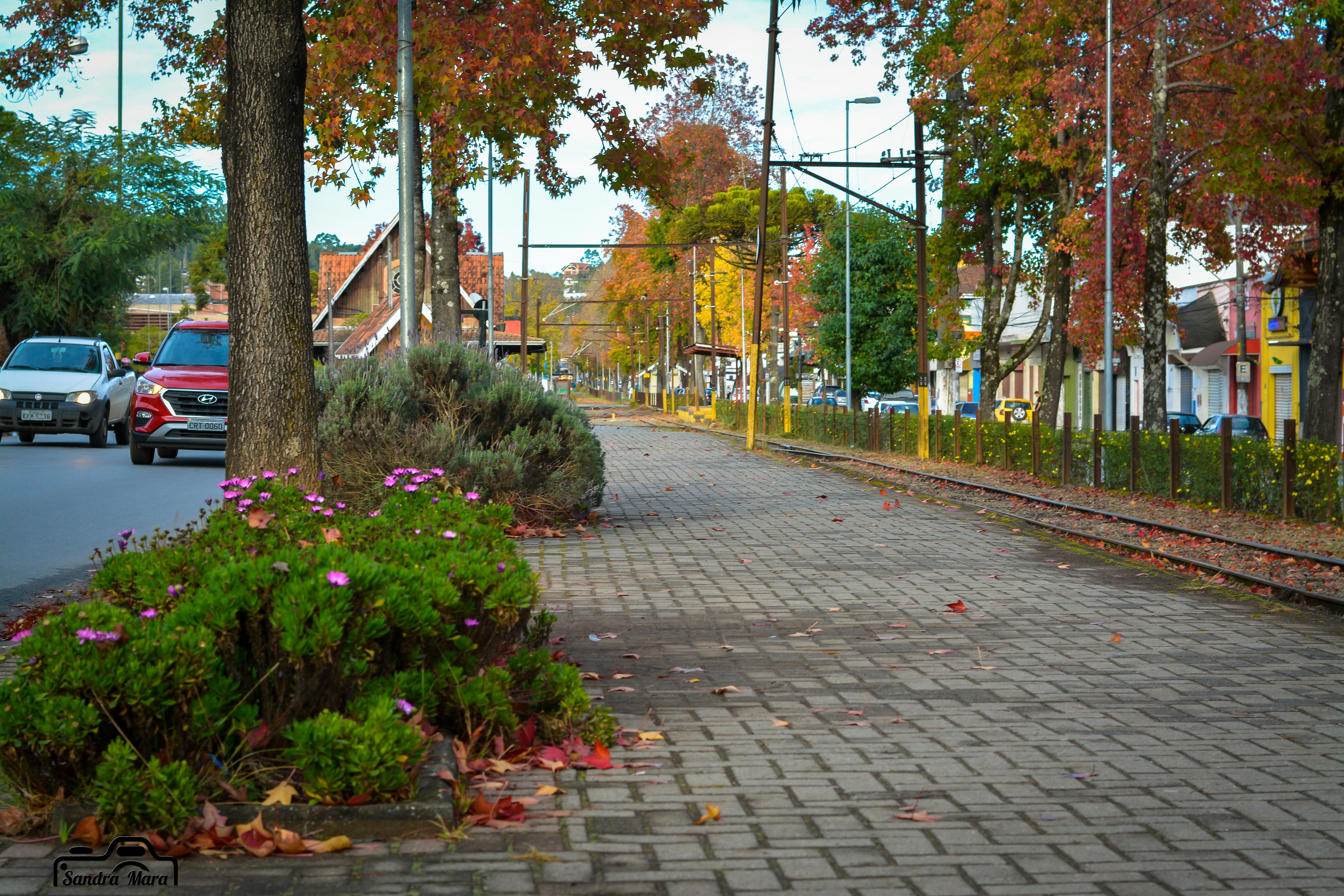 abernessia-campos-do-jordao-14
