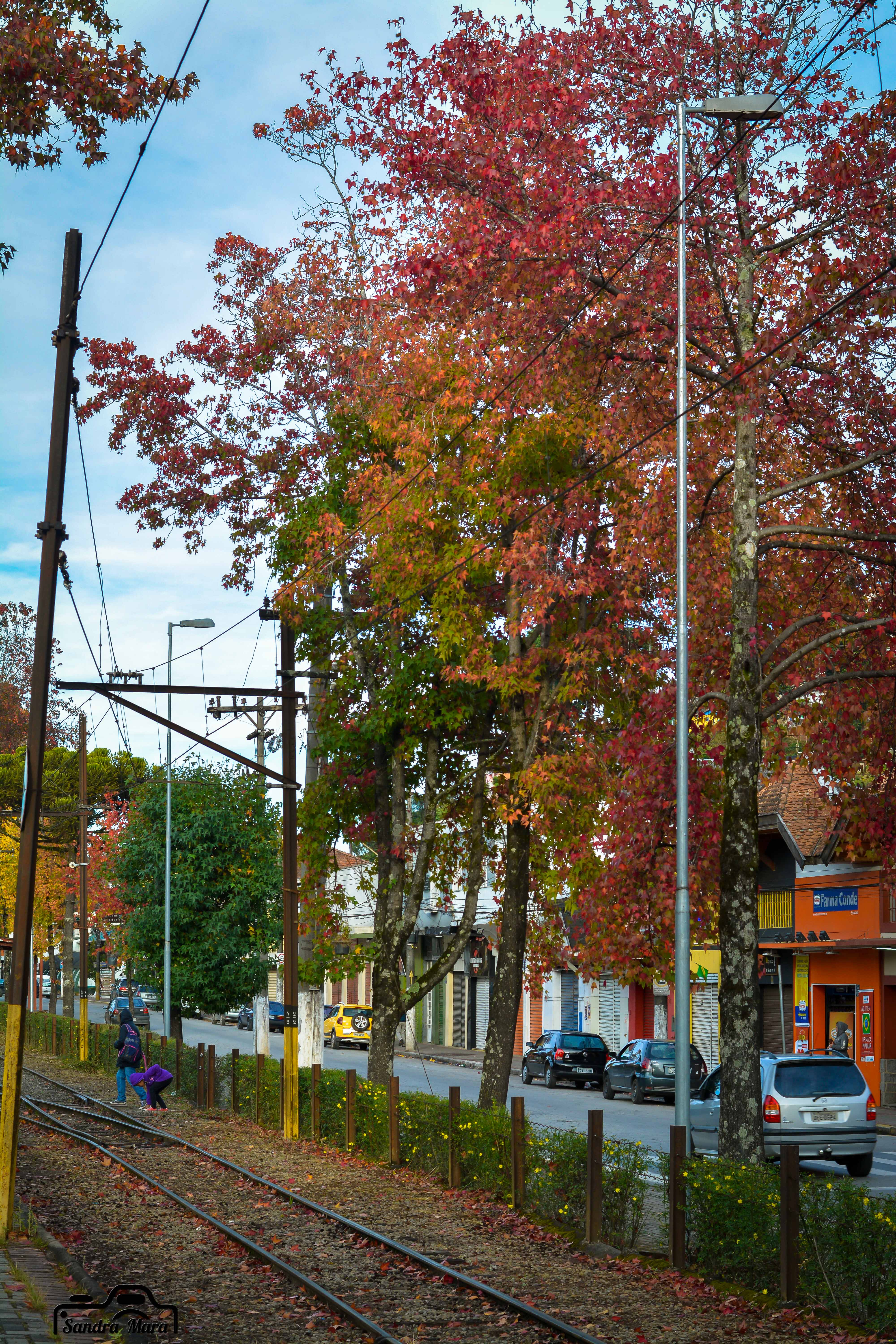 abernessia-campos-do-jordao-15