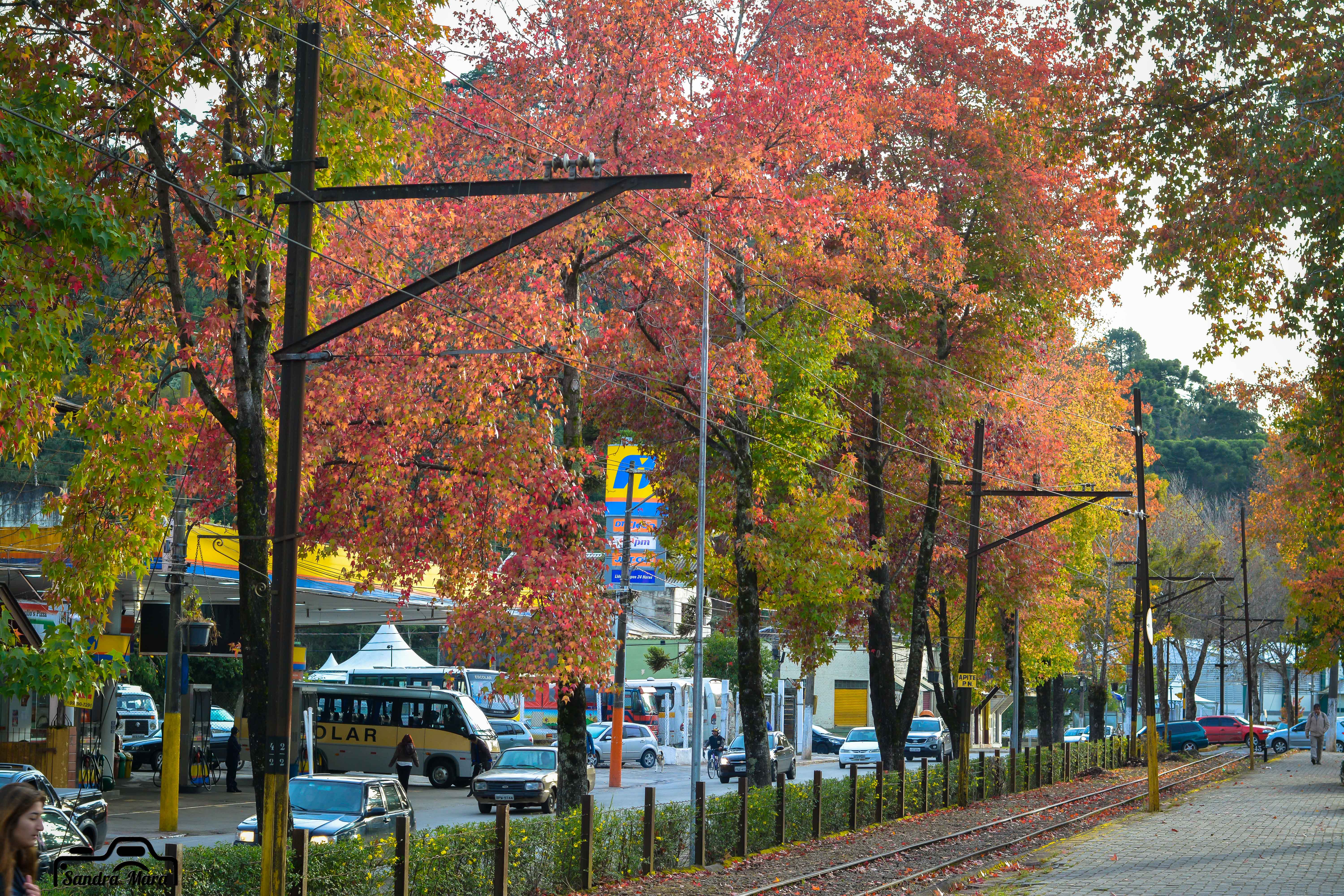 abernessia-campos-do-jordao-17