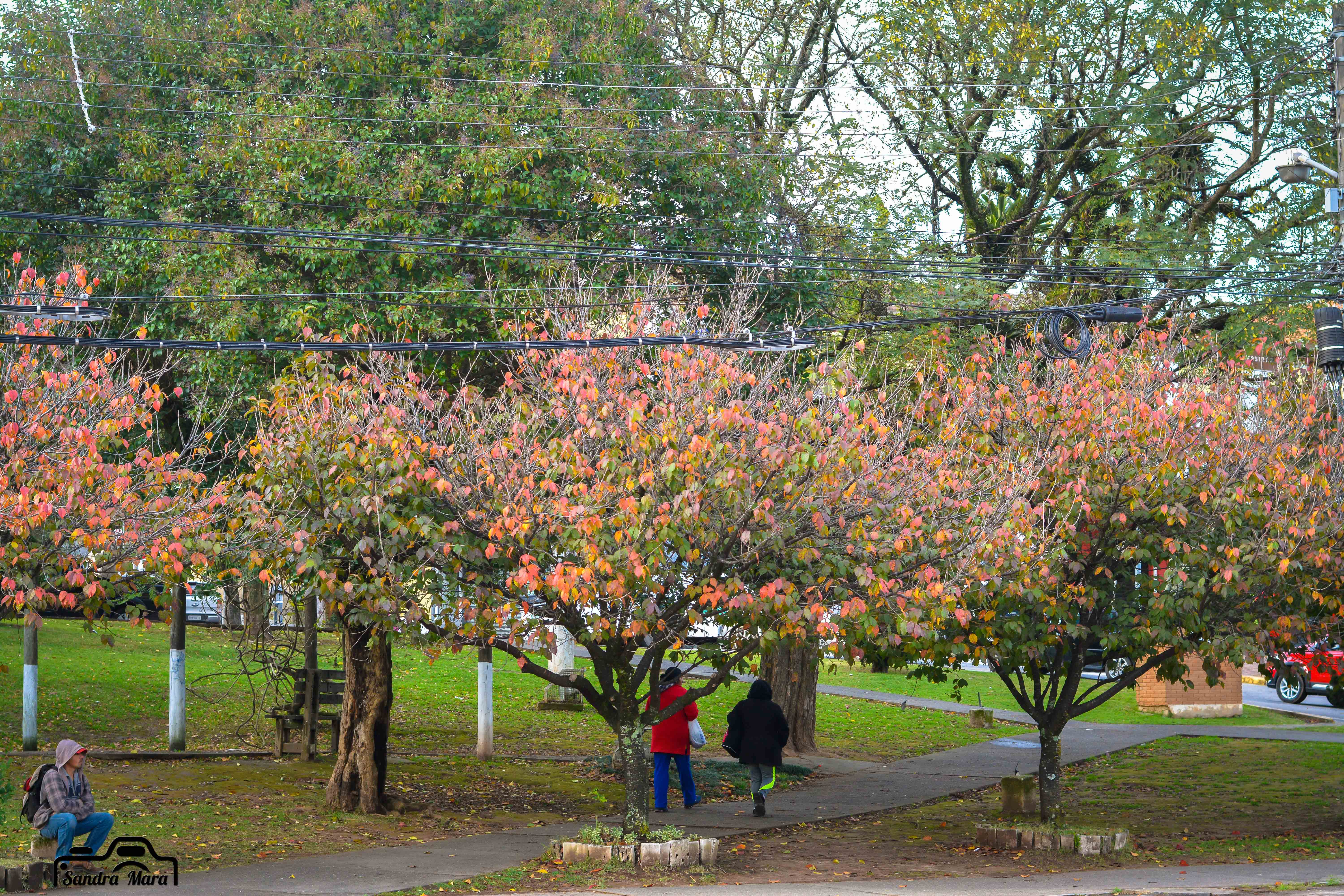 abernessia-campos-do-jordao-21