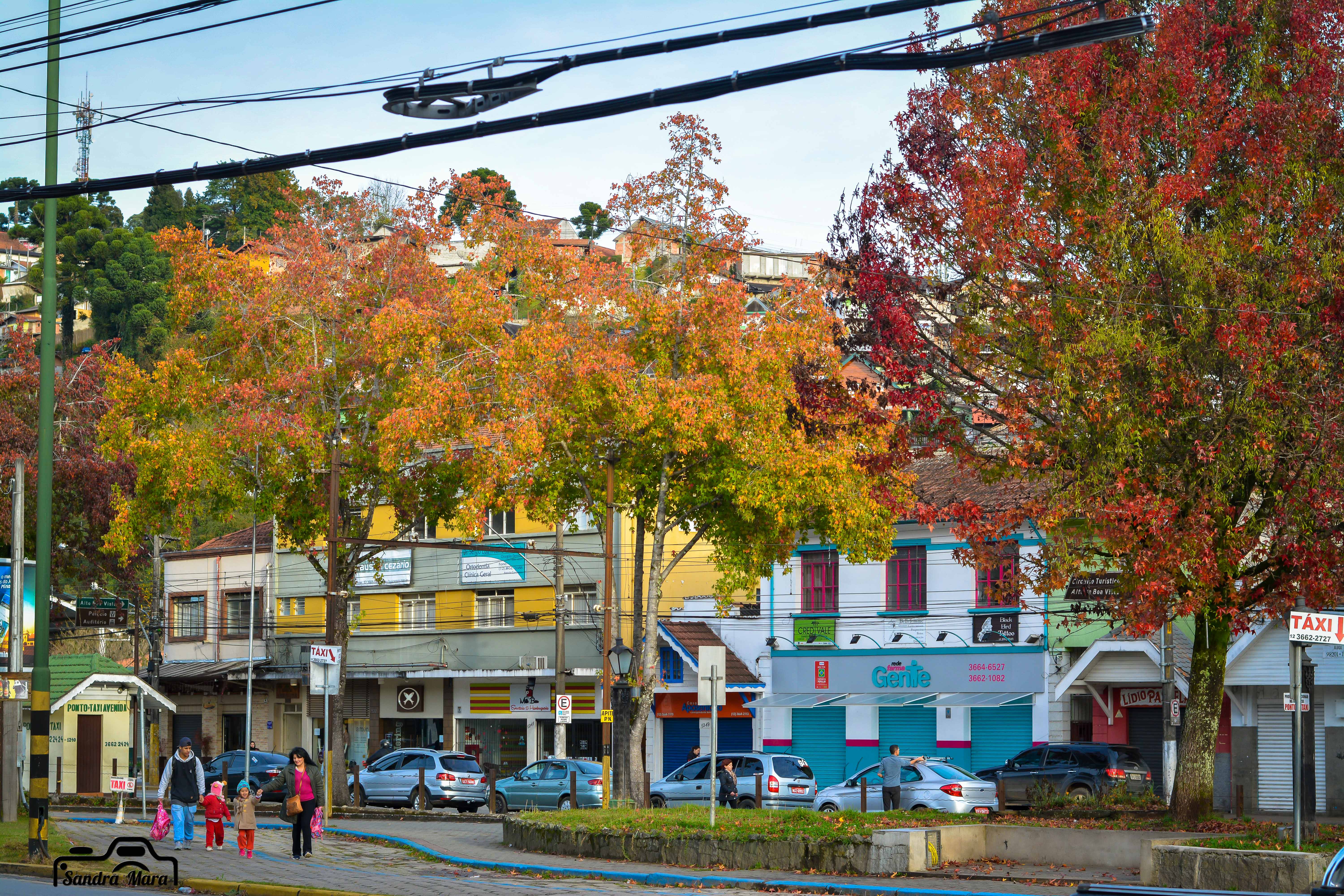 abernessia-campos-do-jordao-23