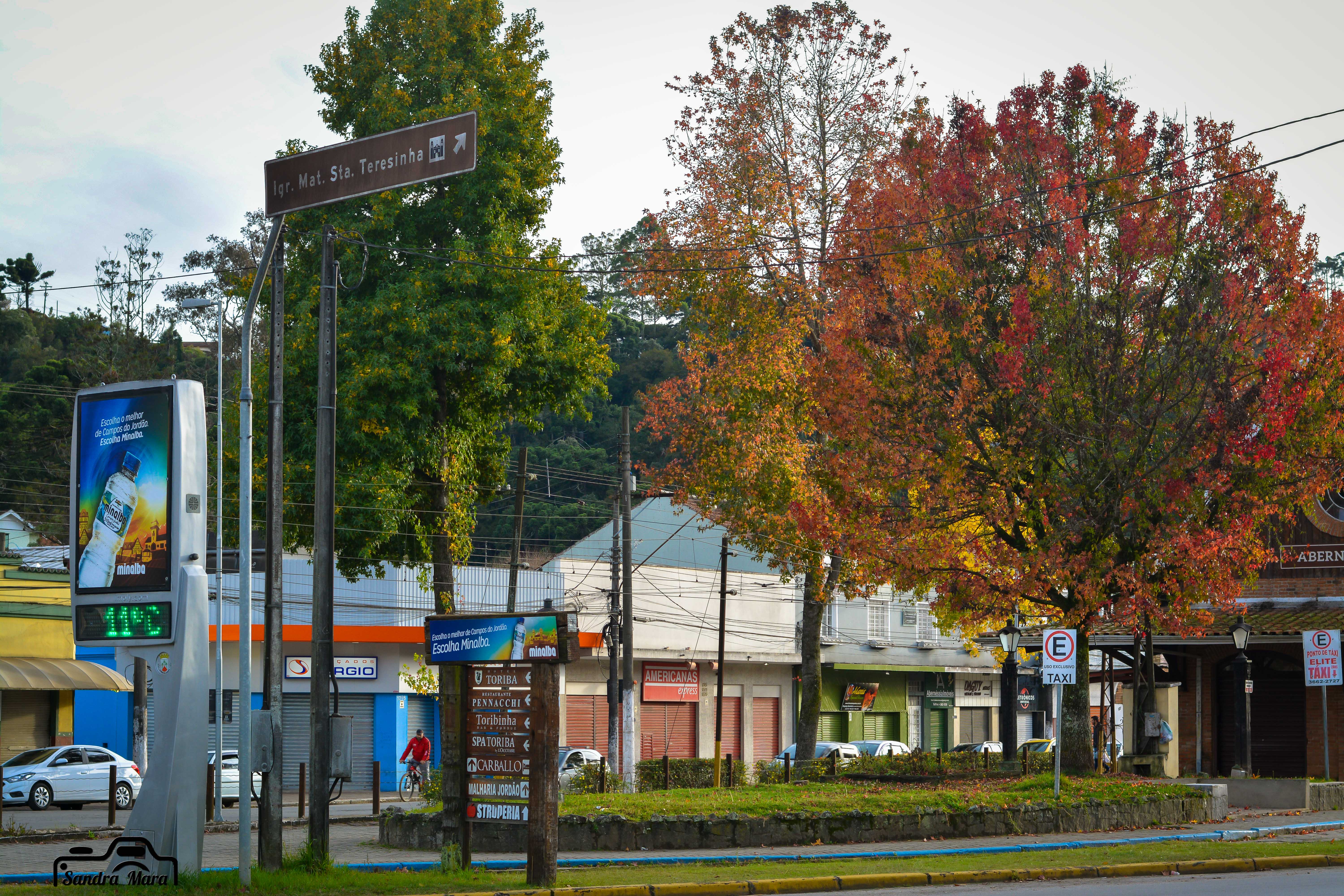 abernessia-campos-do-jordao-27