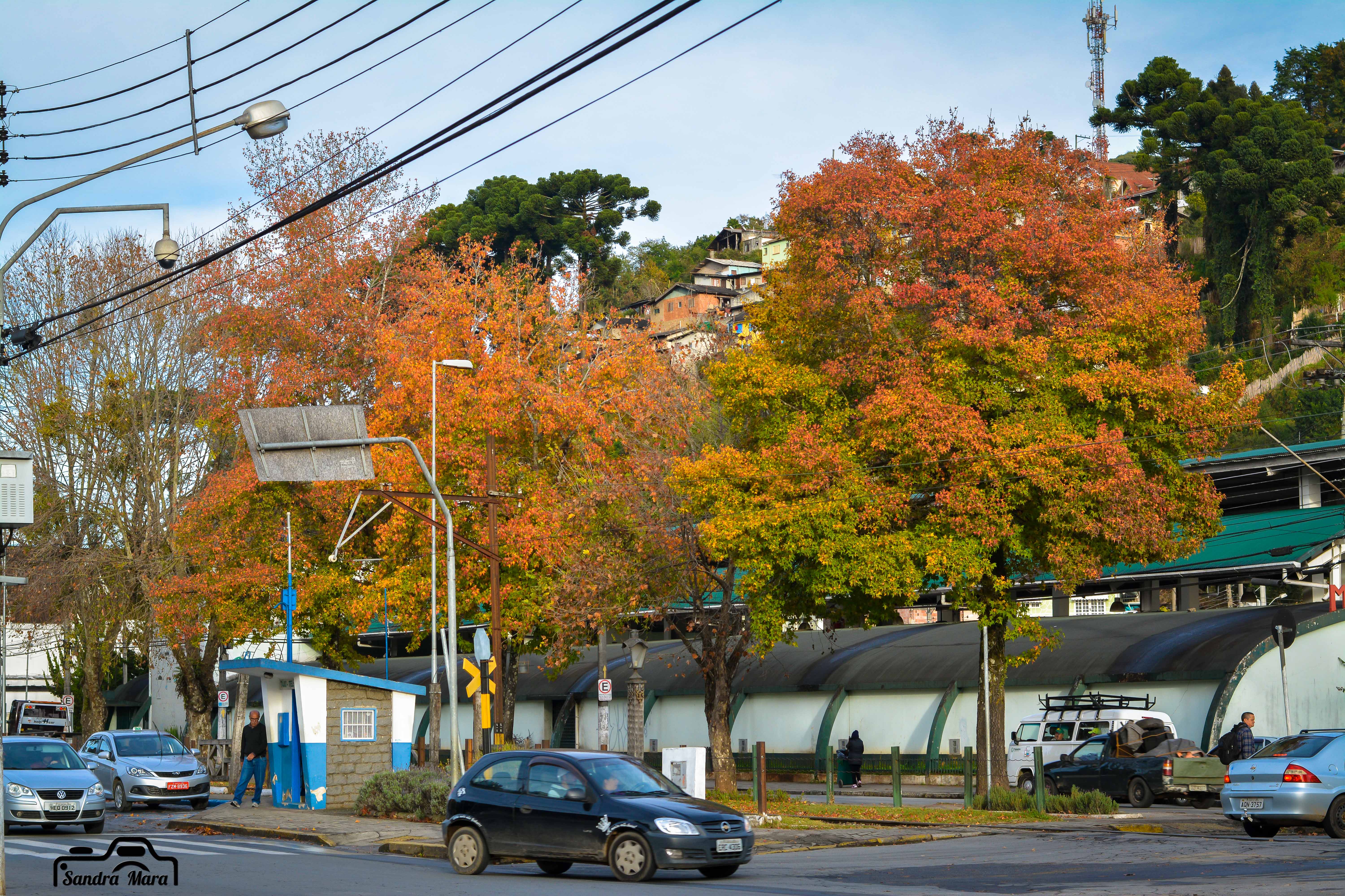 abernessia-campos-do-jordao-29