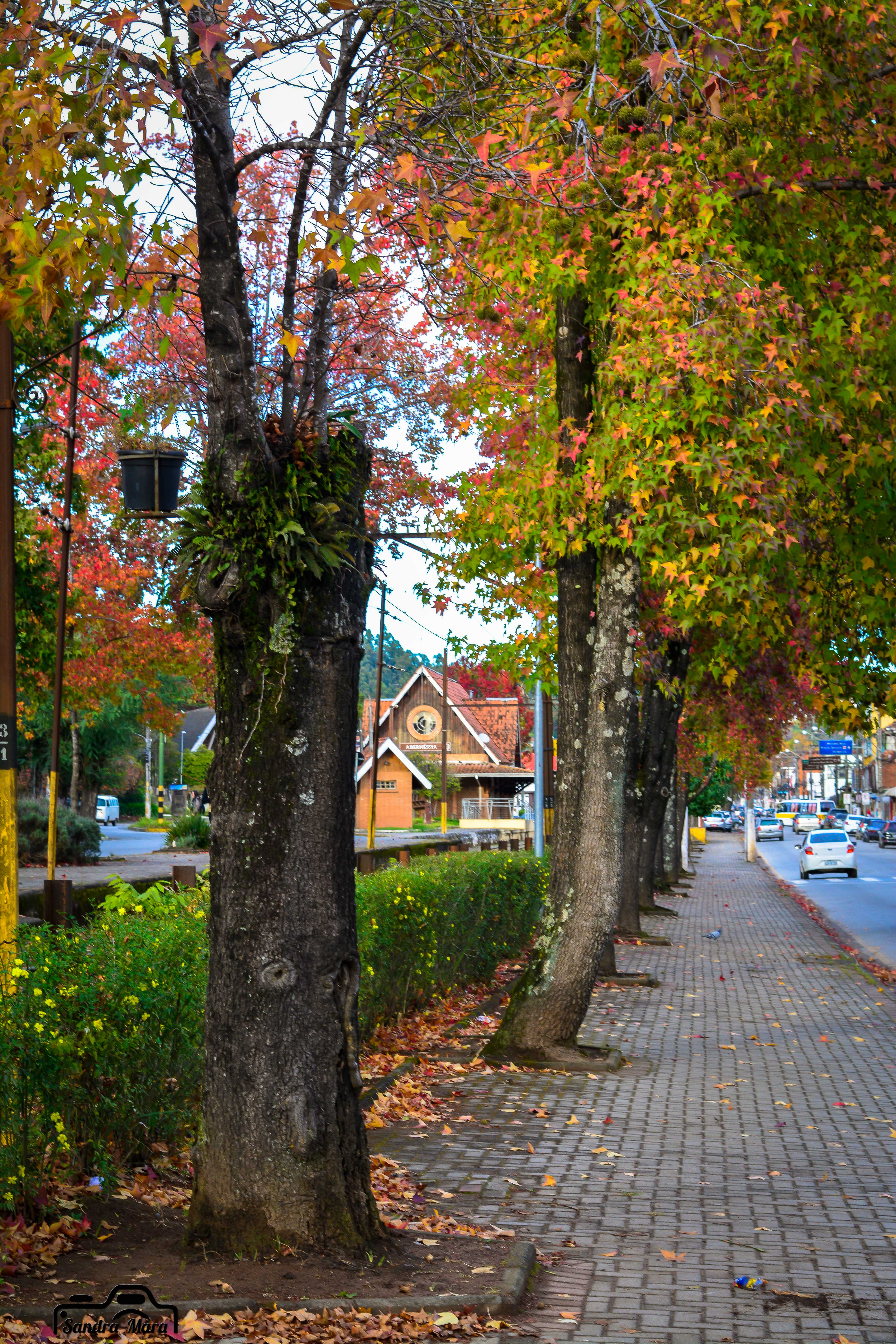 abernessia-campos-do-jordao-3