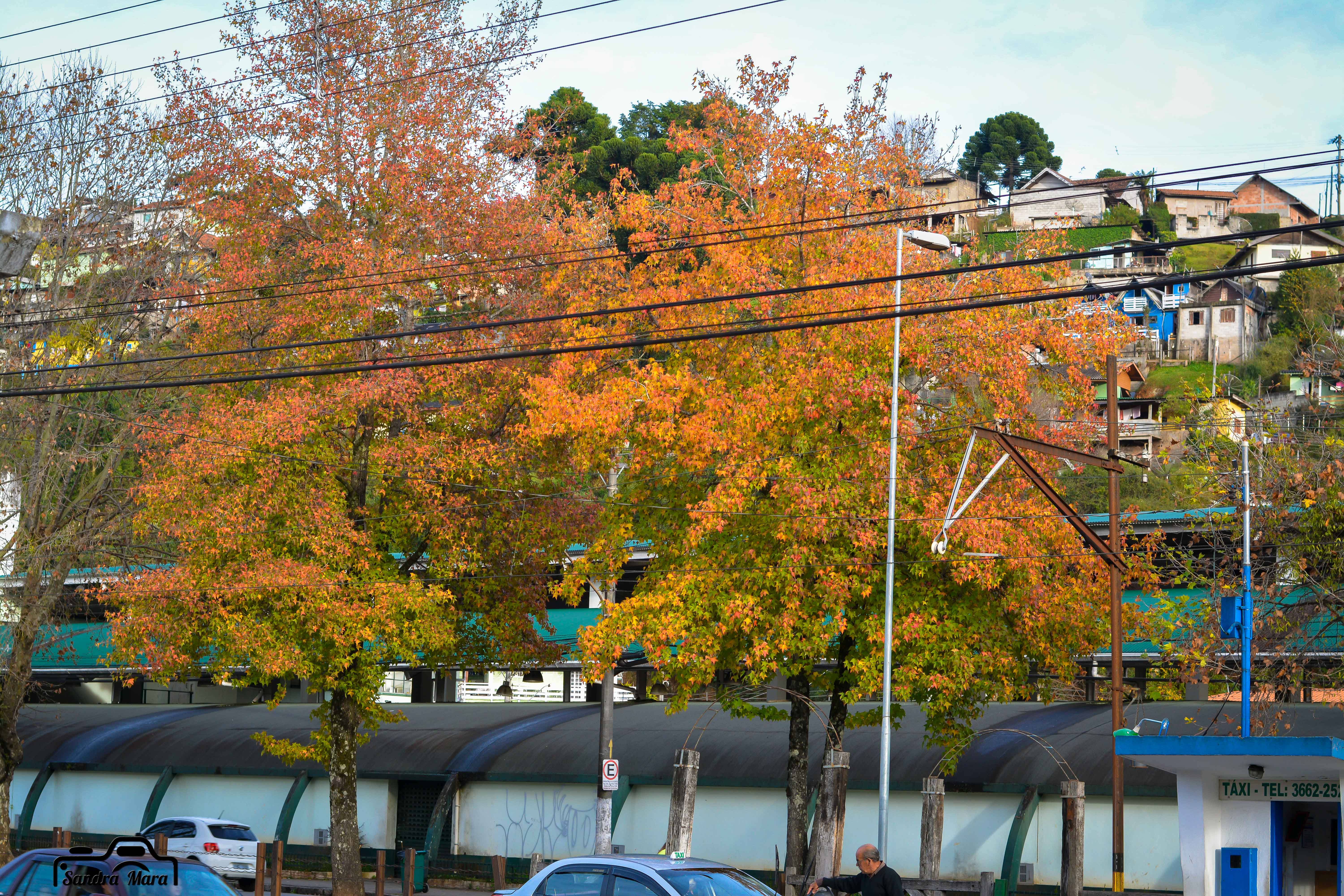 abernessia-campos-do-jordao-32