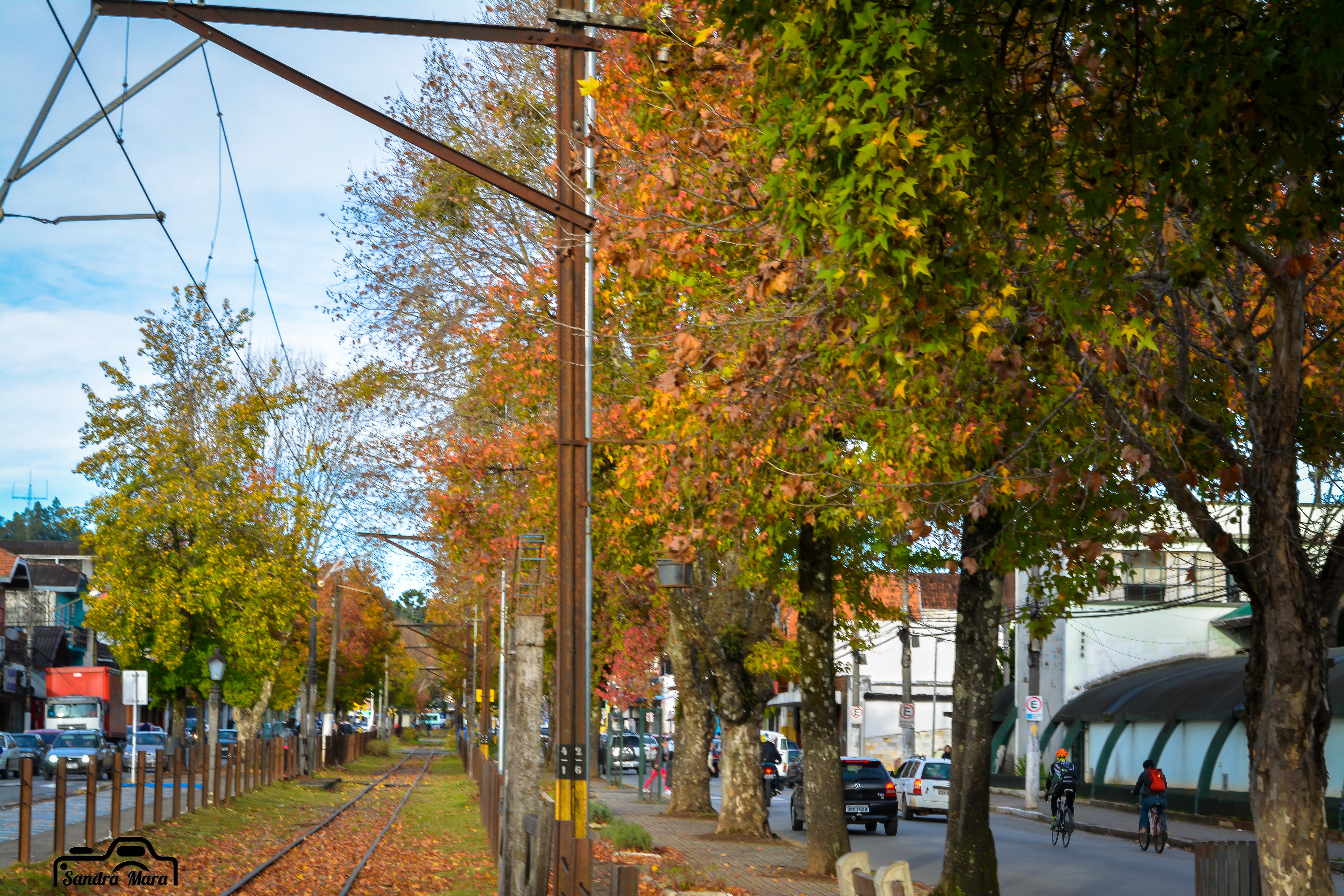 abernessia-campos-do-jordao-36