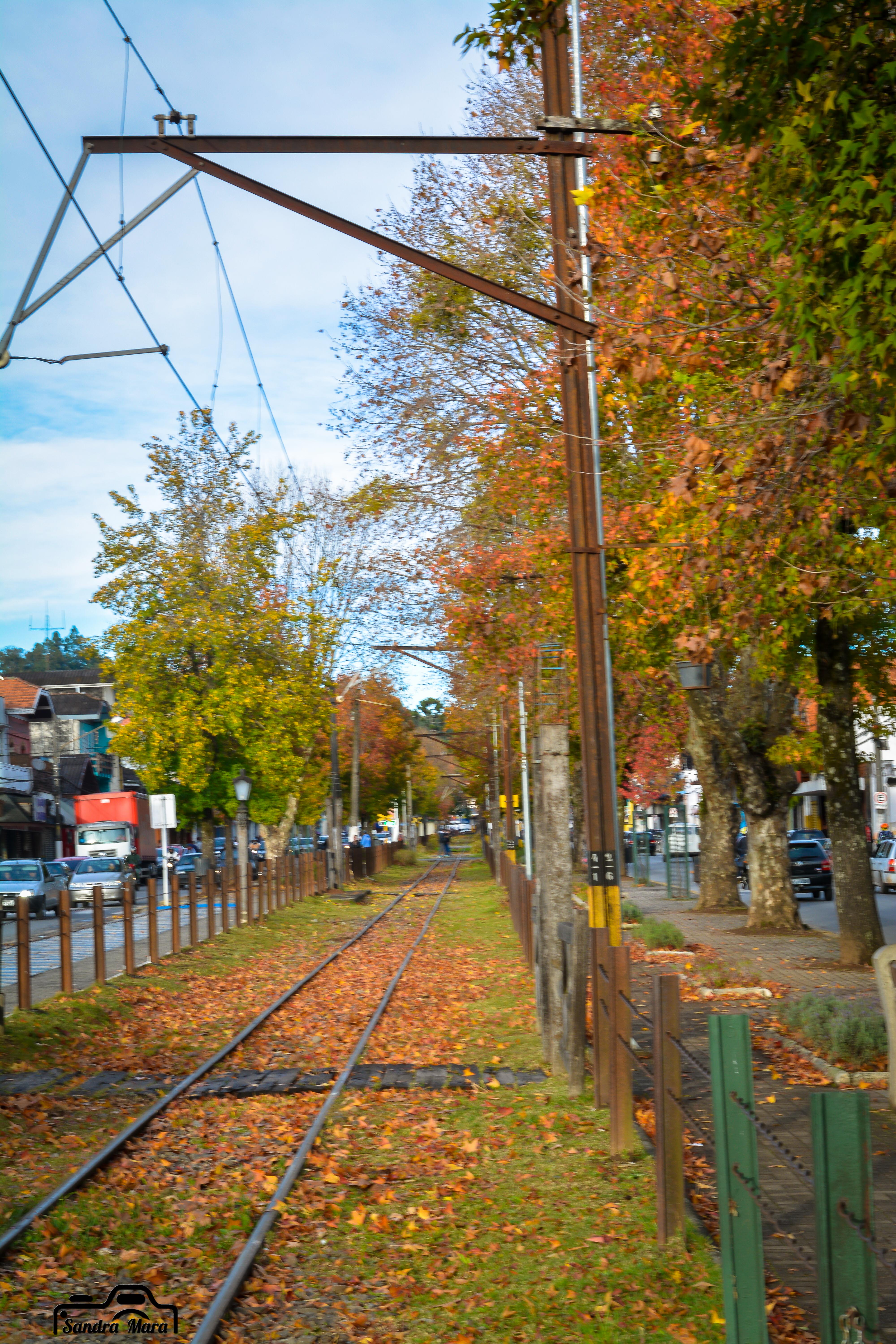 abernessia-campos-do-jordao-37