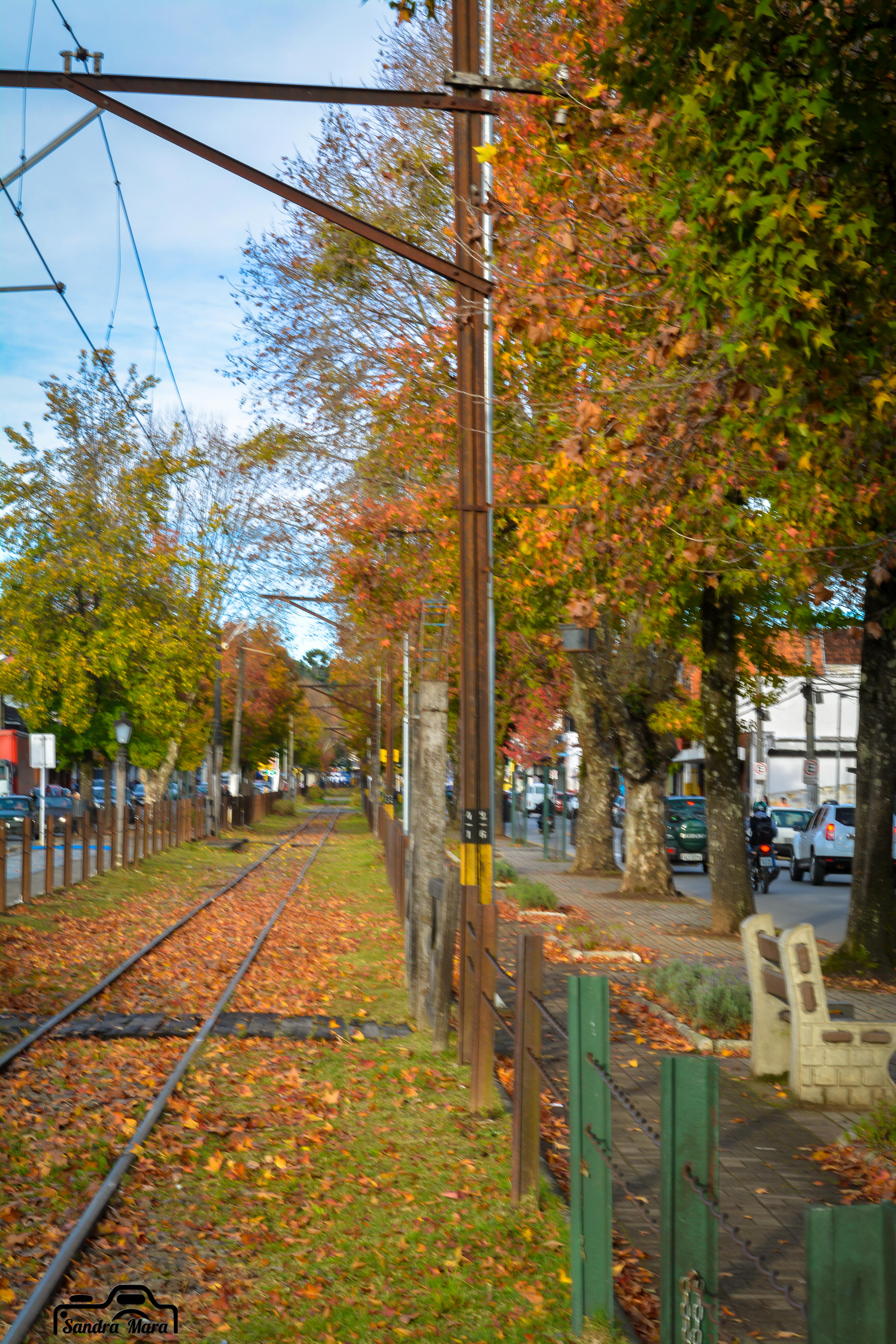 abernessia-campos-do-jordao-38
