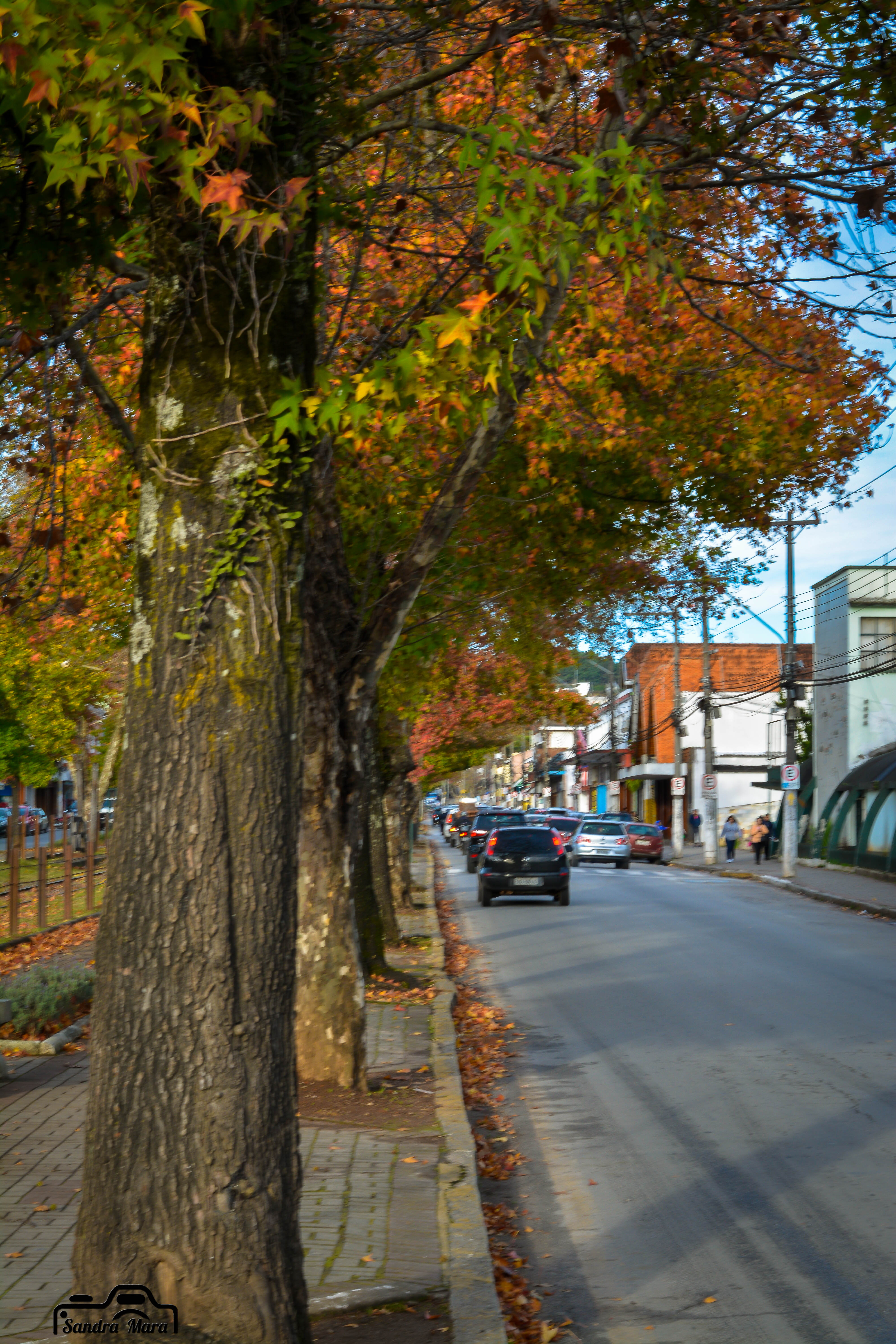 abernessia-campos-do-jordao-39