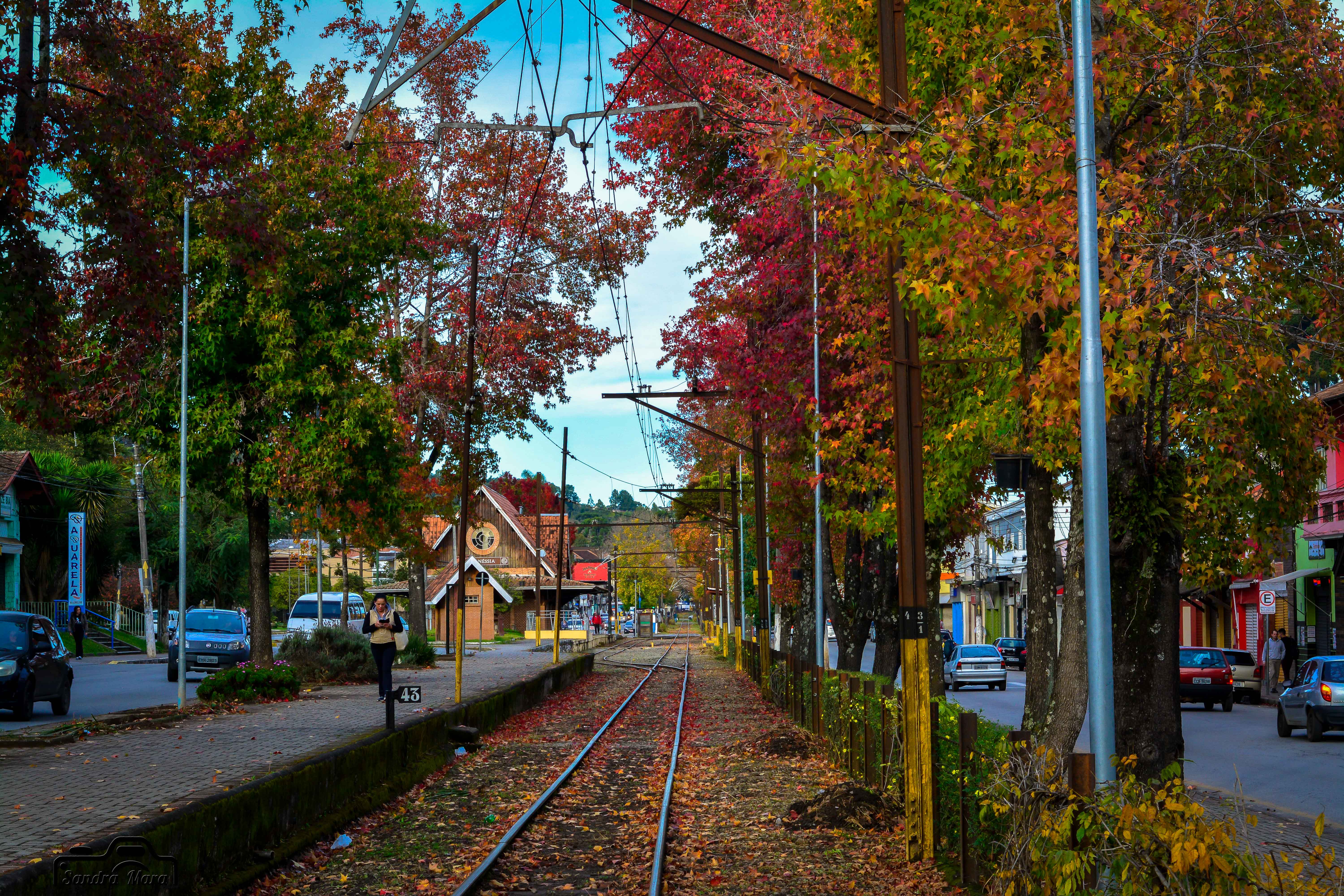 abernessia-campos-do-jordao-4