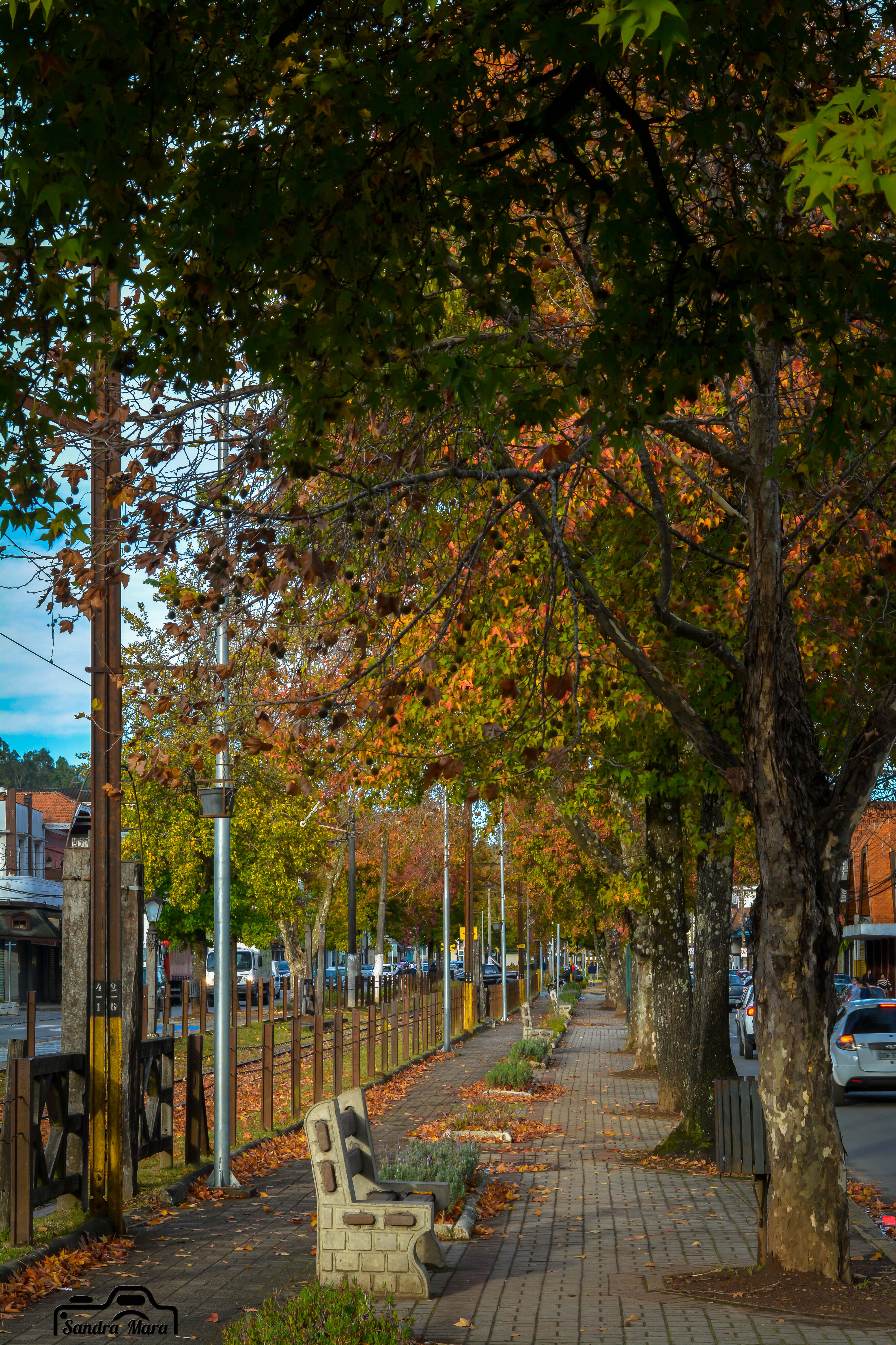 abernessia-campos-do-jordao-41