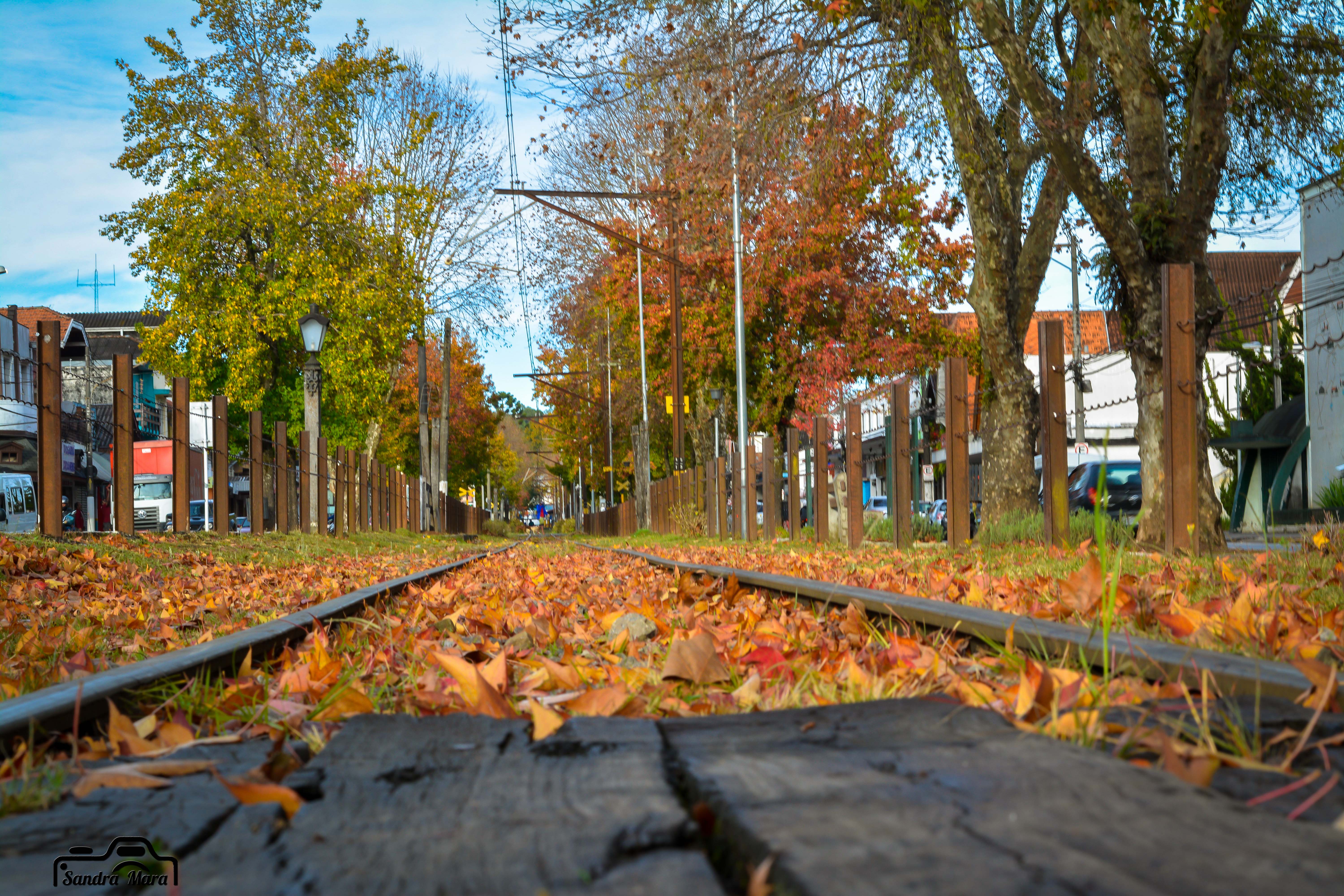 abernessia-campos-do-jordao-47