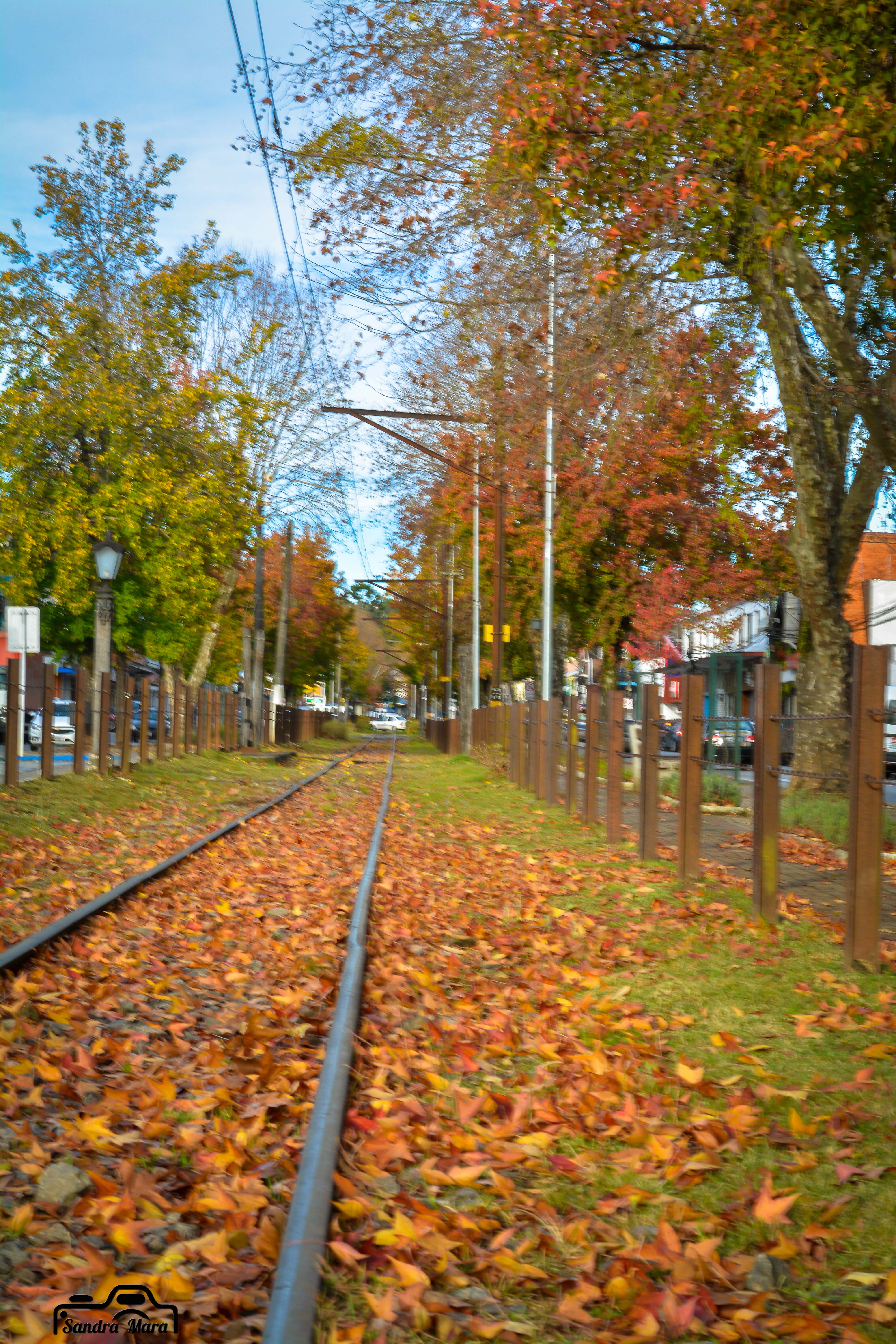 abernessia-campos-do-jordao-48
