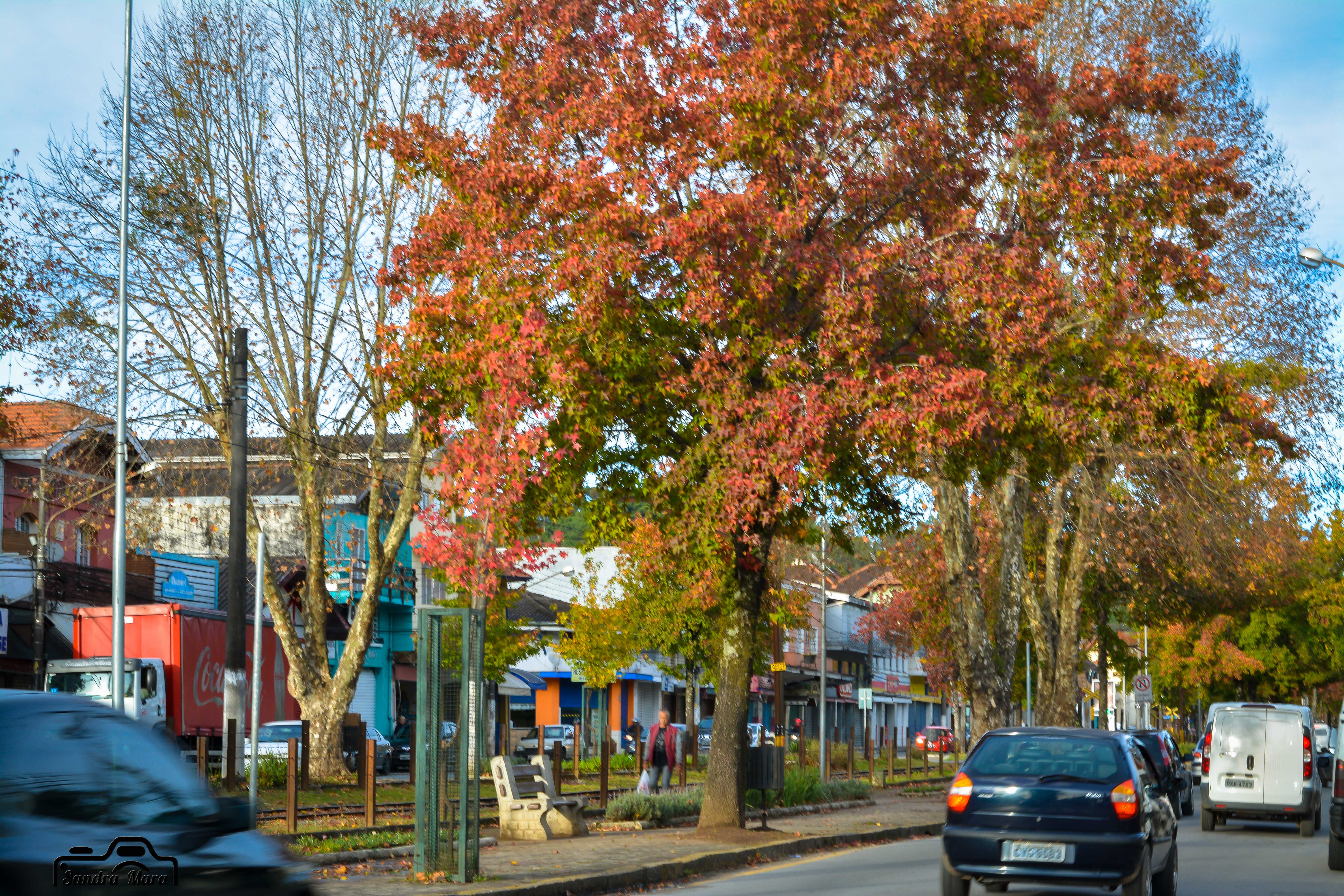 abernessia-campos-do-jordao-49