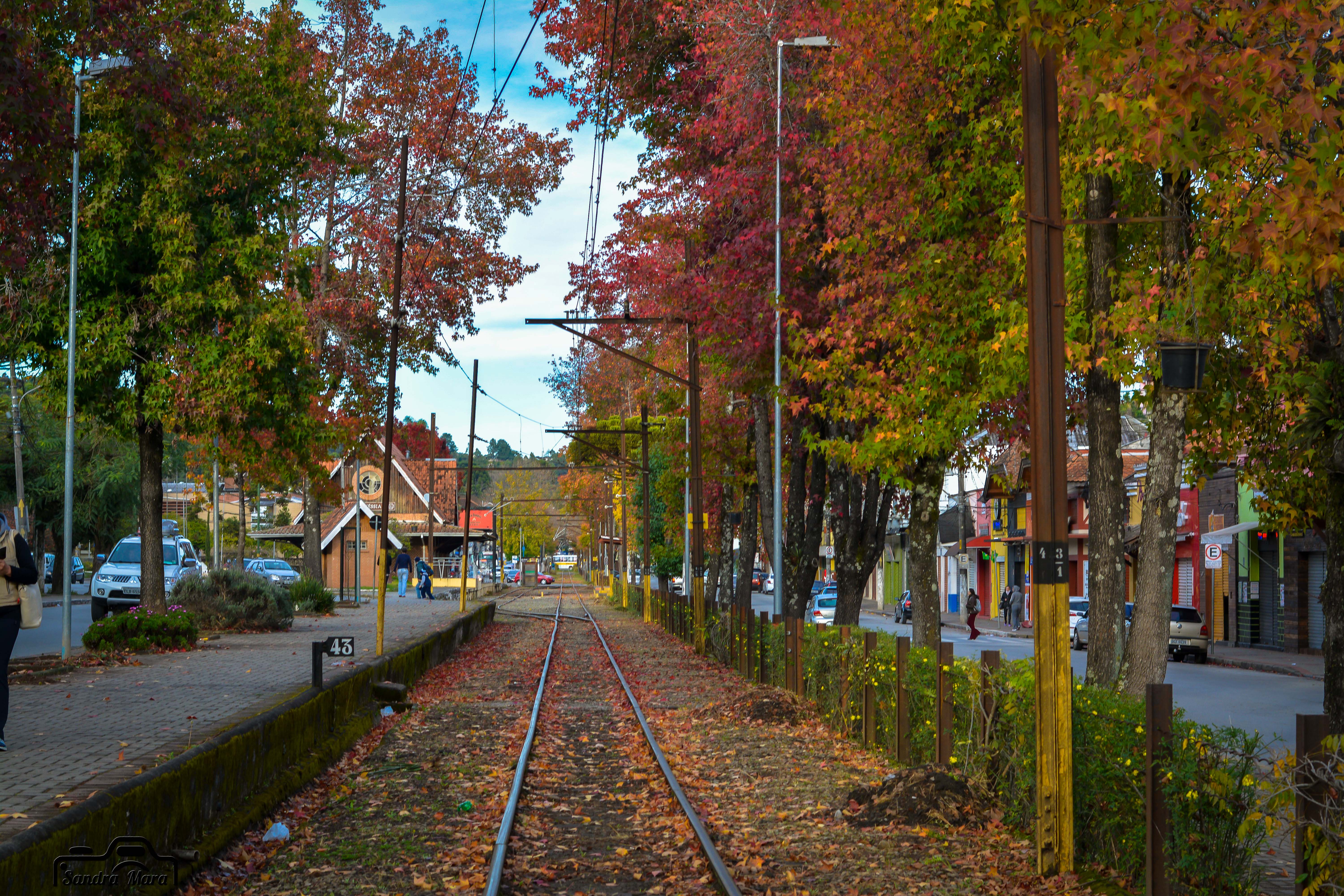 abernessia-campos-do-jordao-5