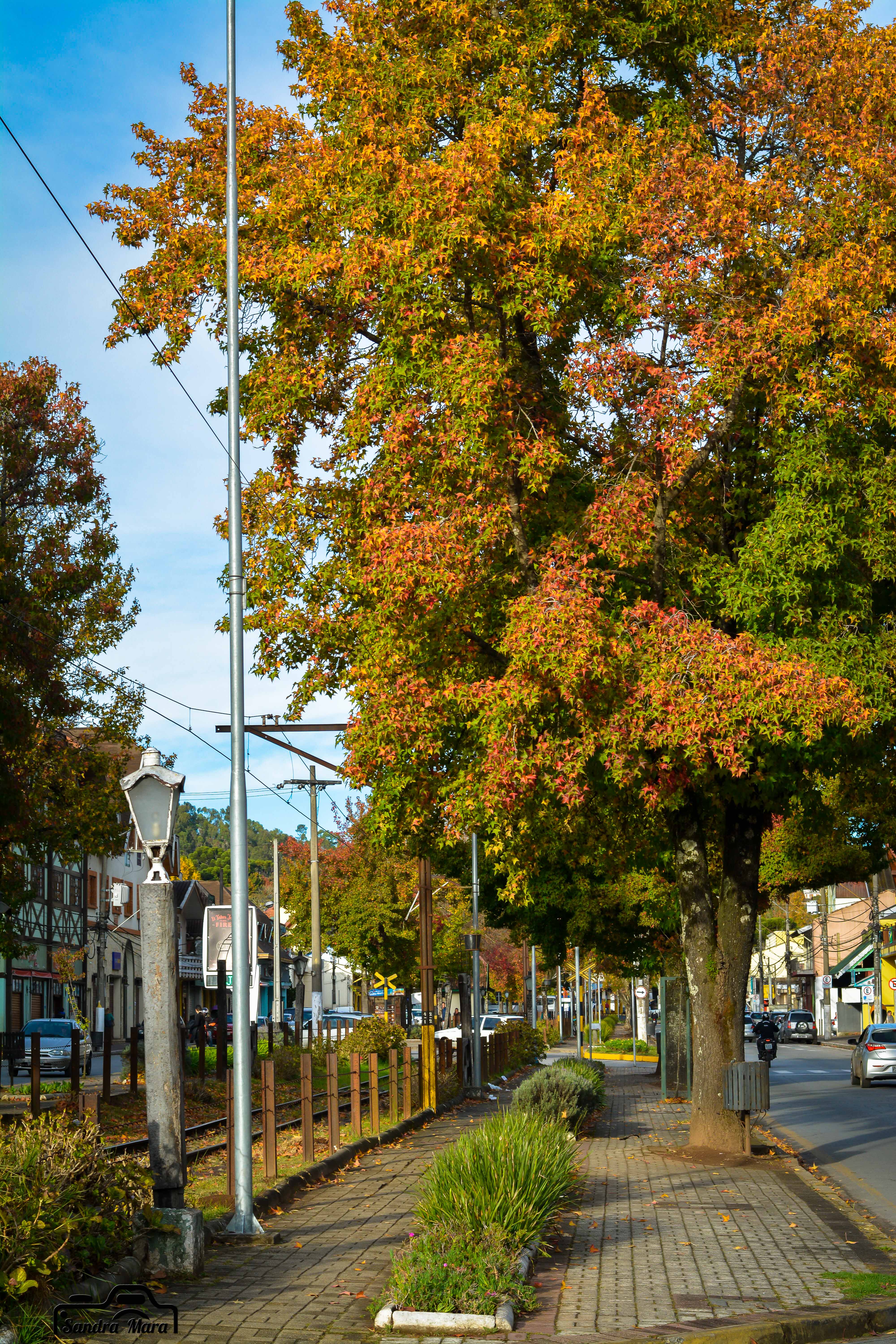 abernessia-campos-do-jordao-56