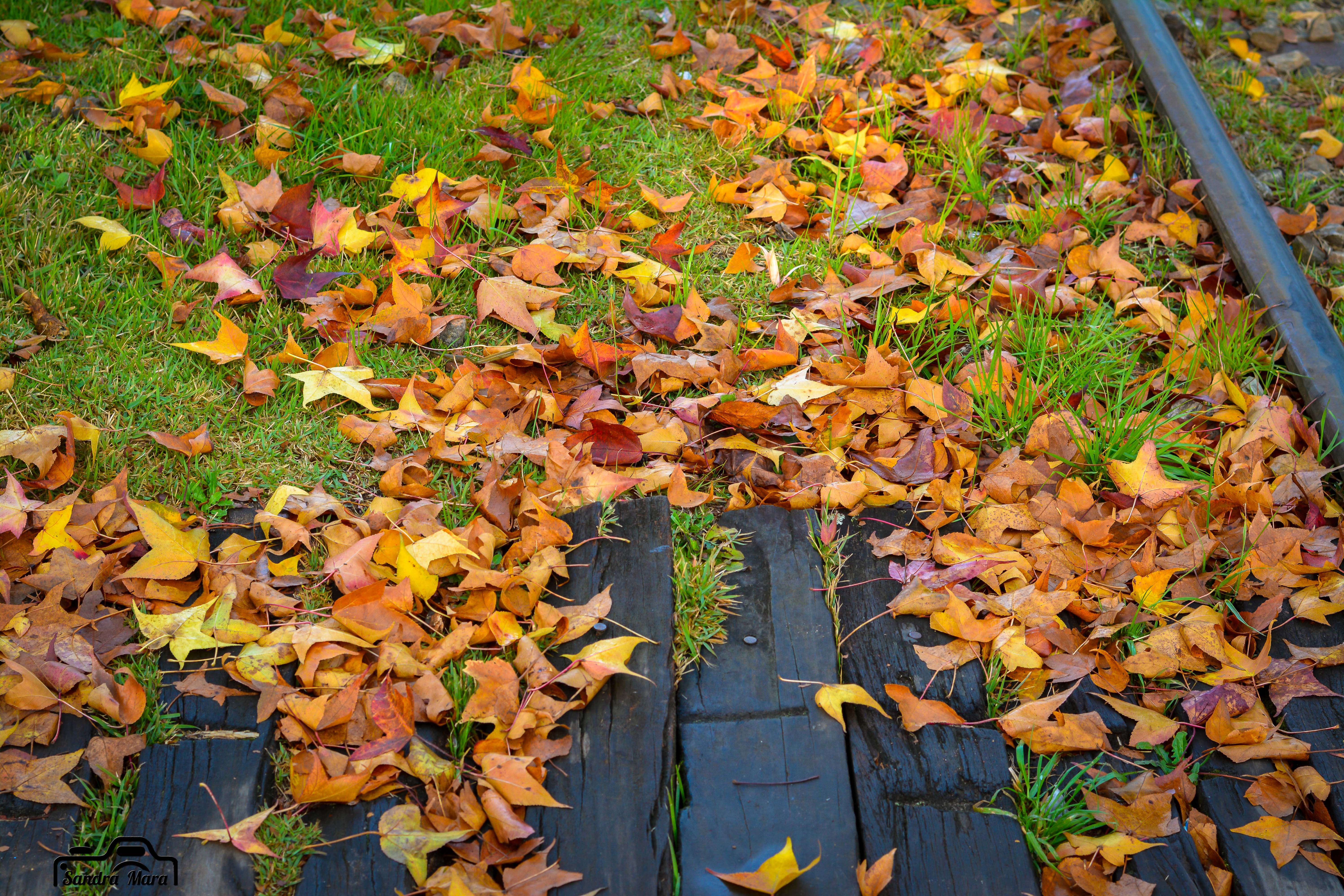 abernessia-campos-do-jordao-63