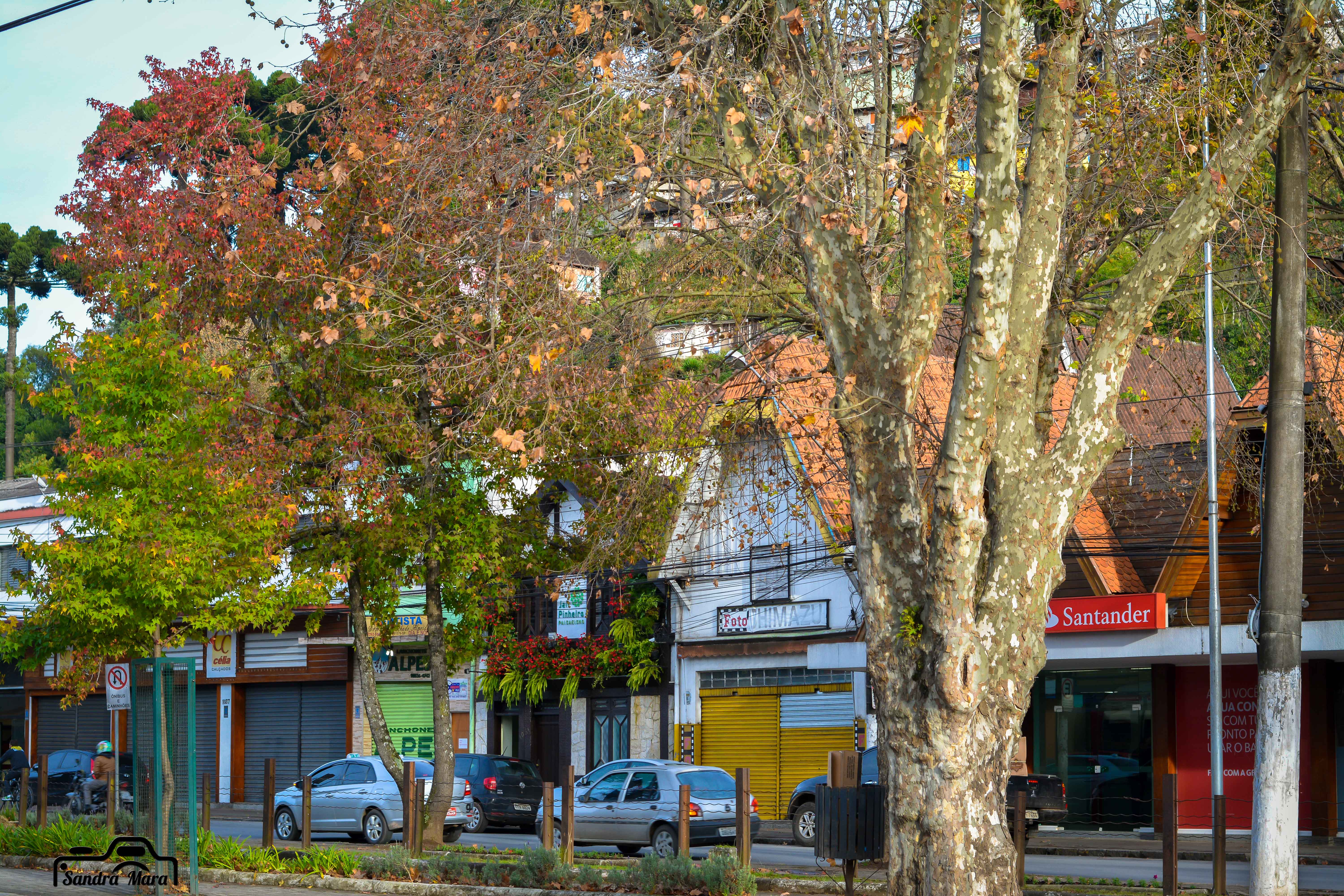 abernessia-campos-do-jordao-69