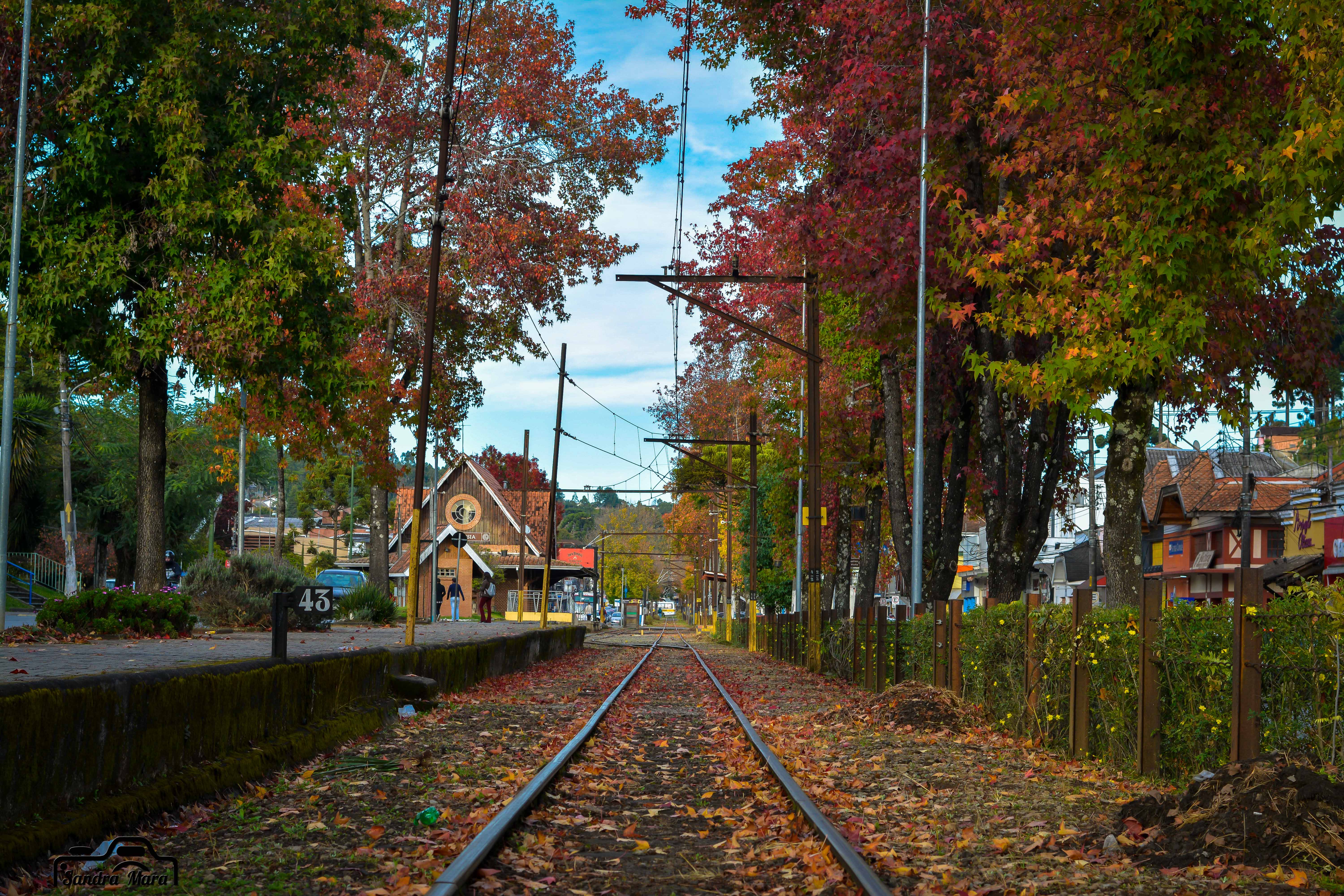 abernessia-campos-do-jordao-7
