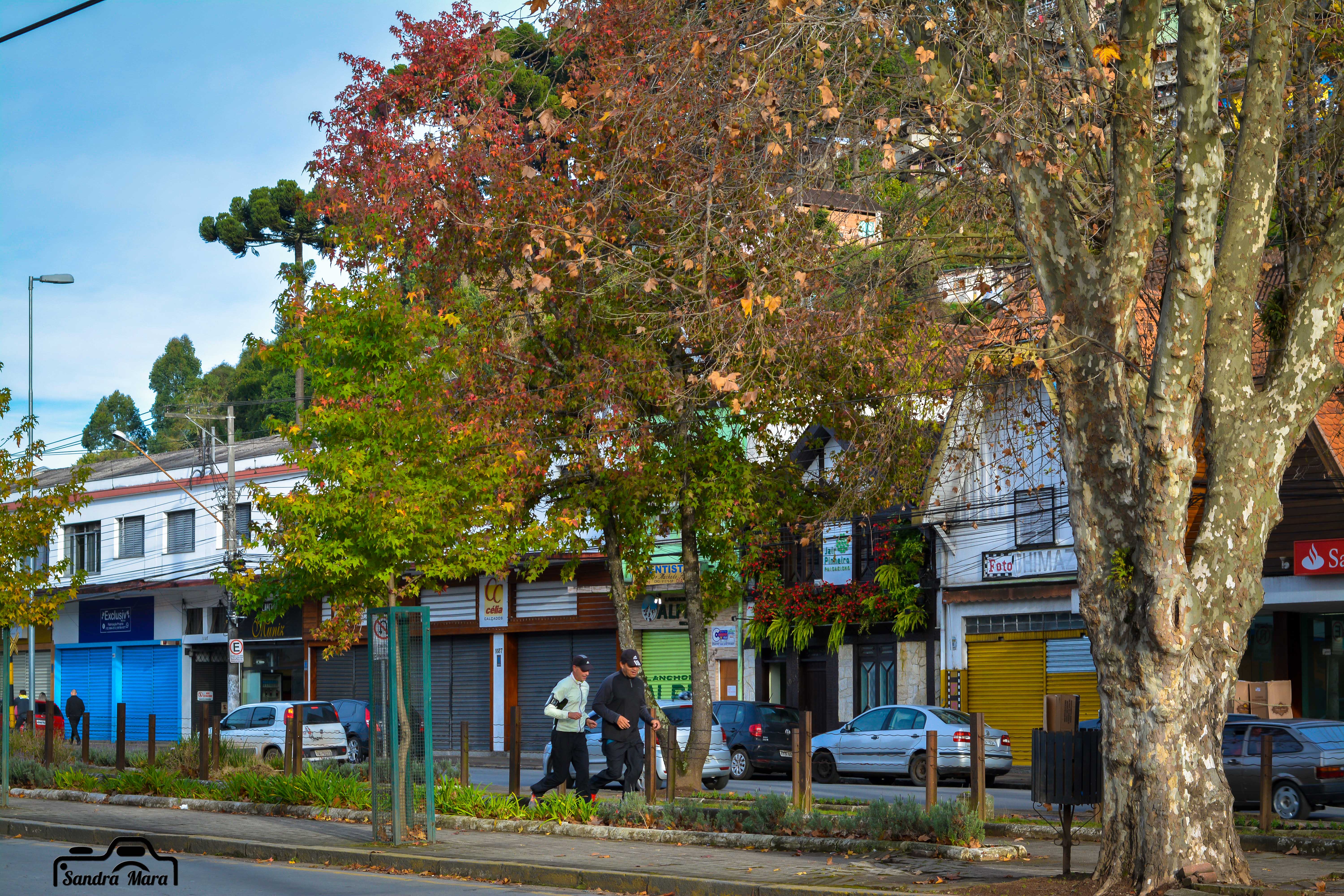 abernessia-campos-do-jordao-70