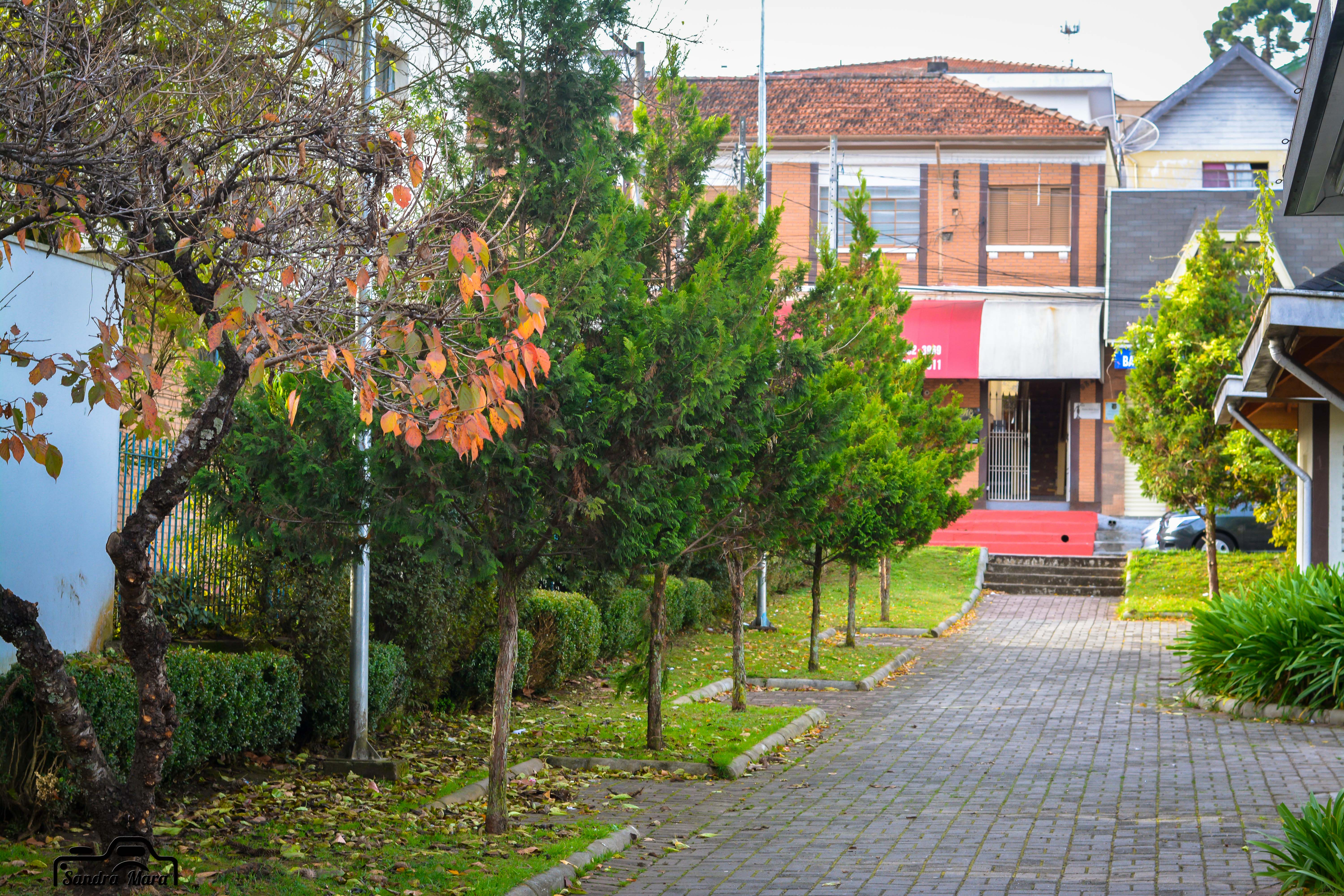 abernessia-campos-do-jordao-72