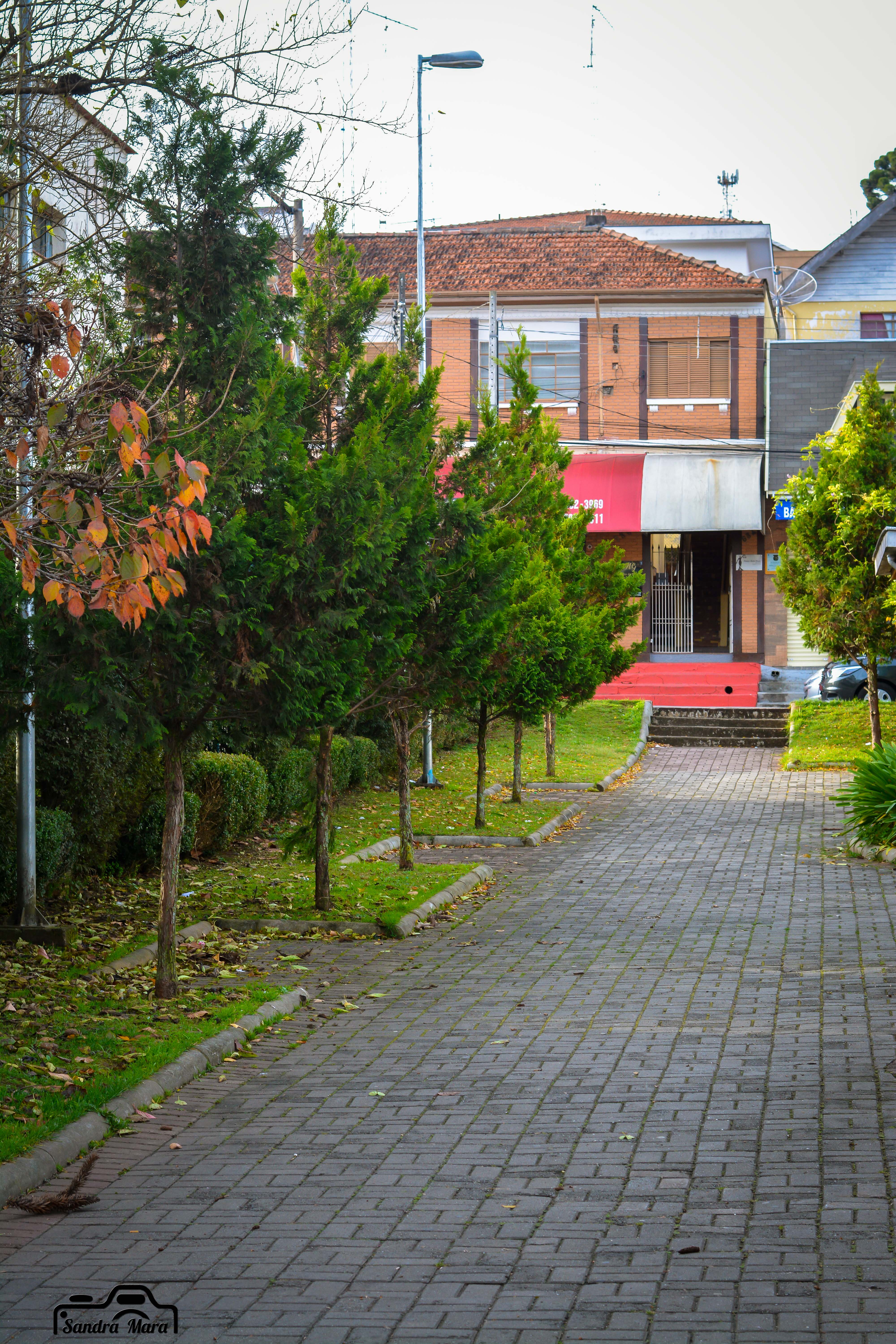 abernessia-campos-do-jordao-73