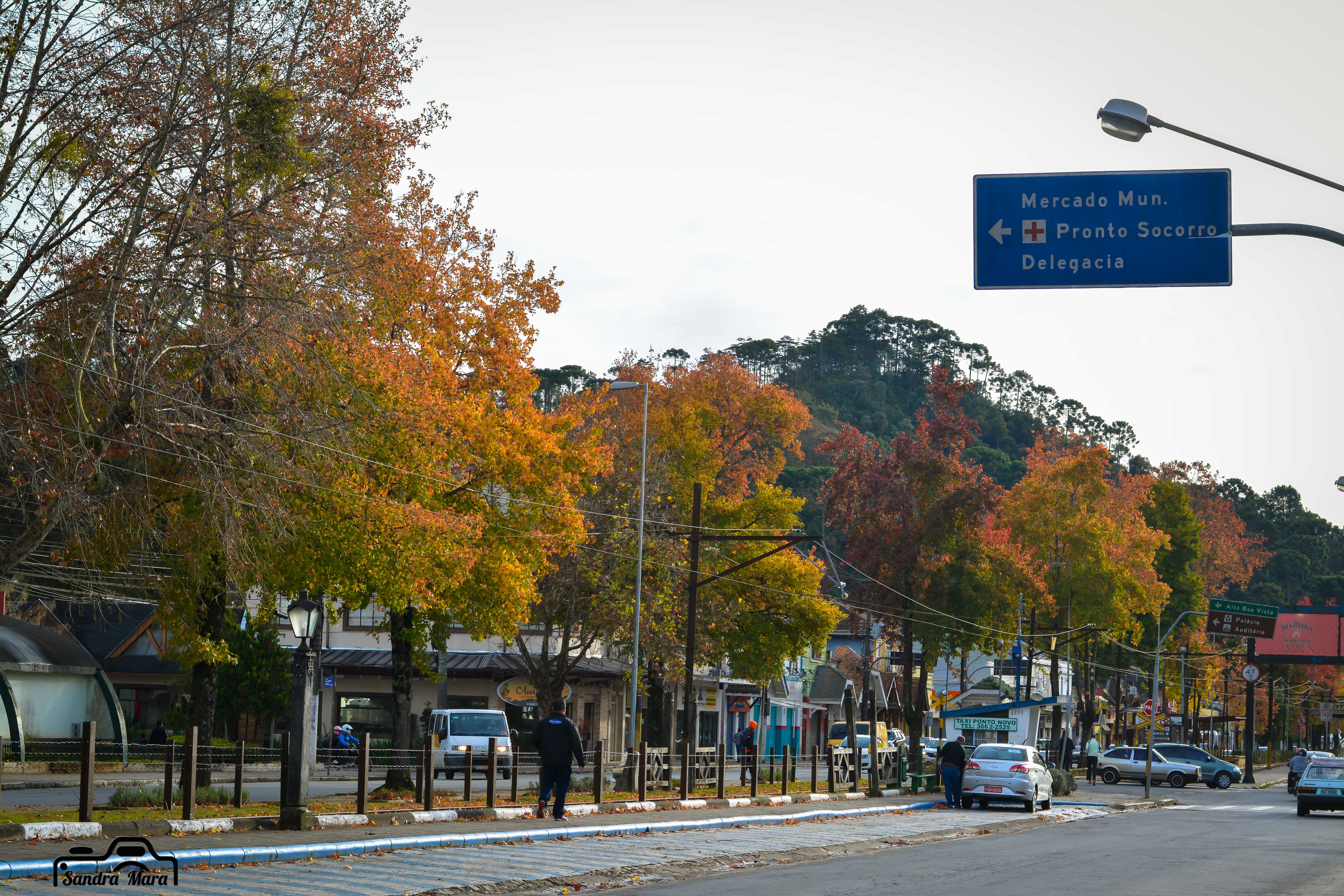 abernessia-campos-do-jordao-74
