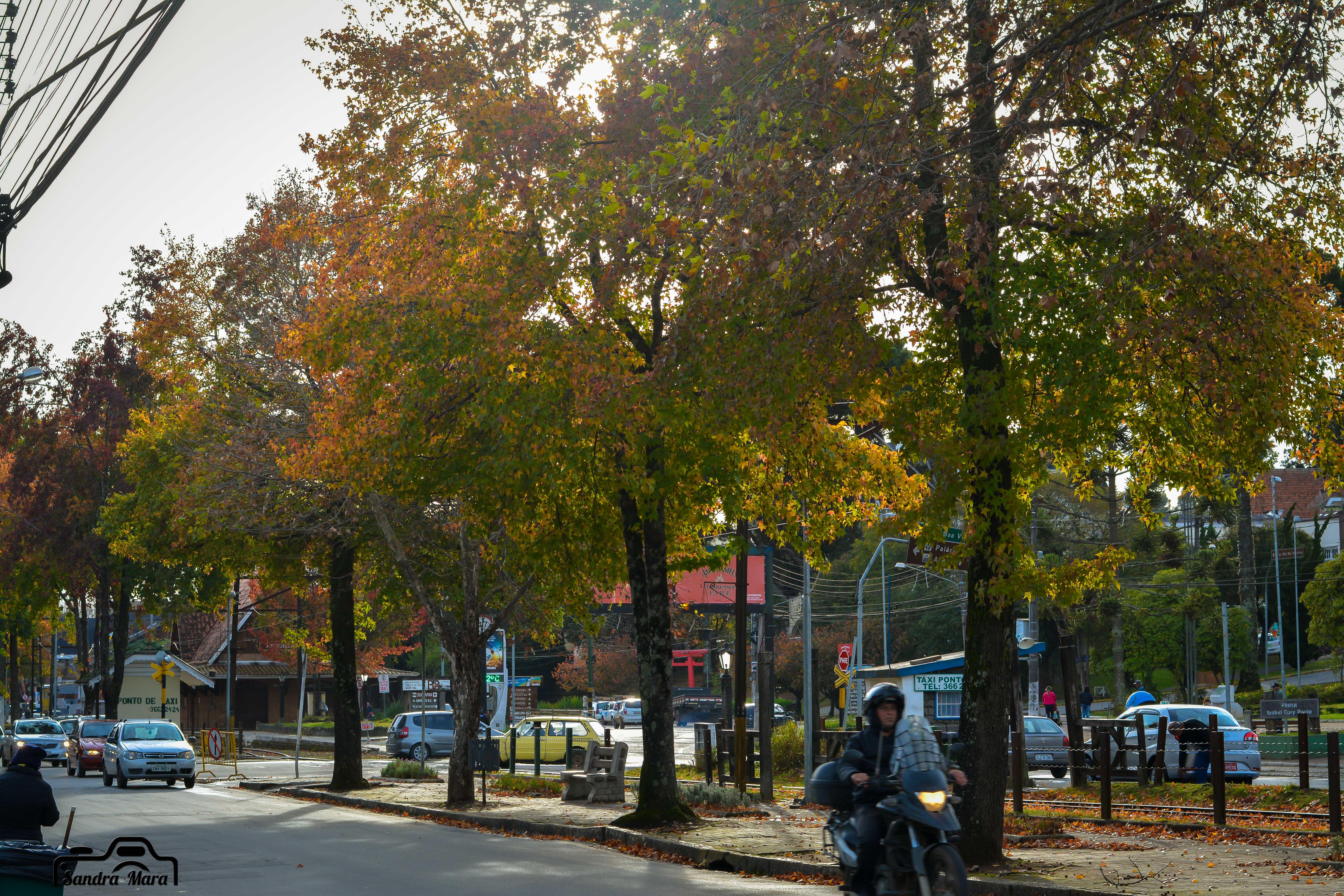 abernessia-campos-do-jordao-77