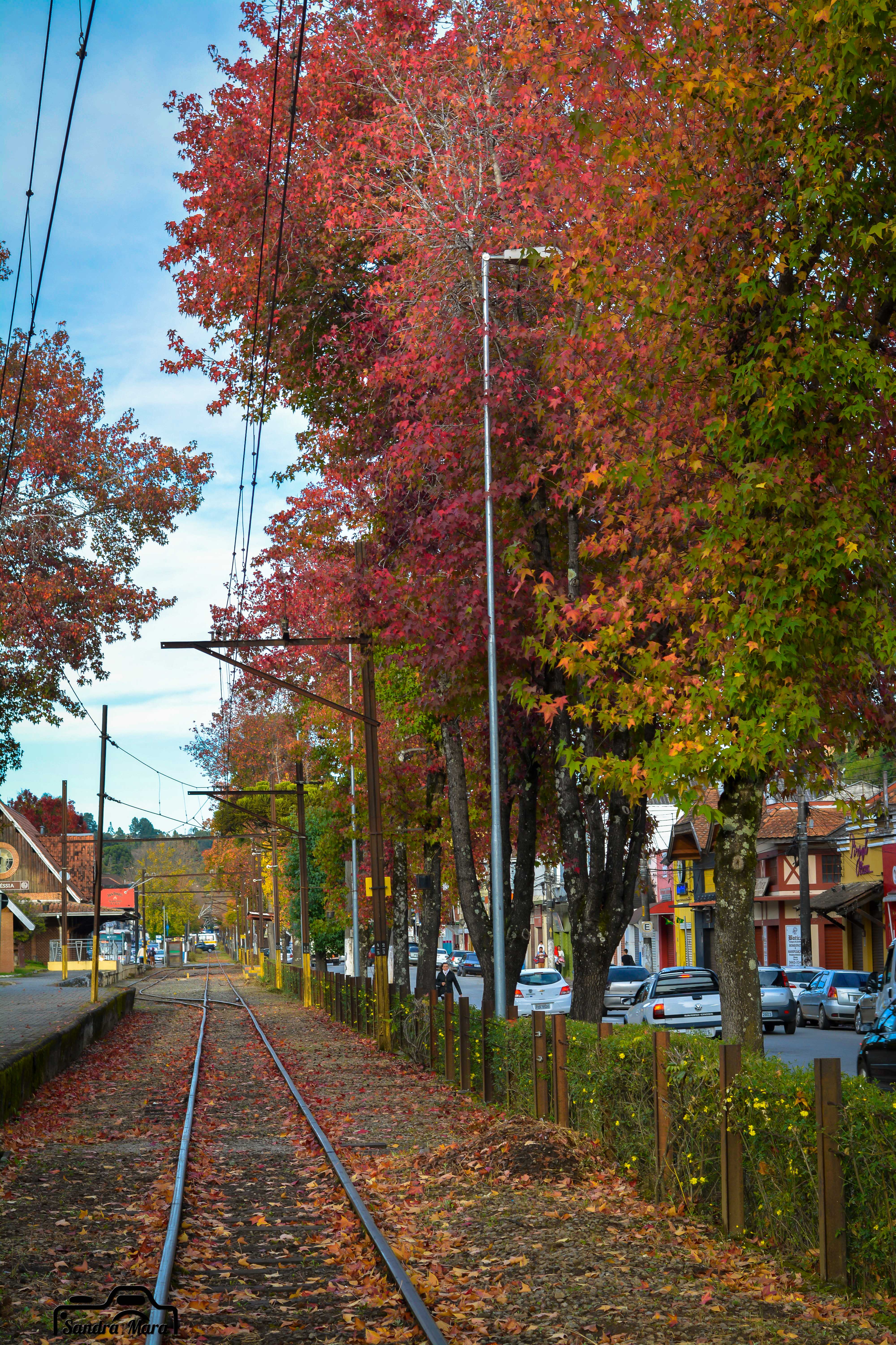 abernessia-campos-do-jordao-8