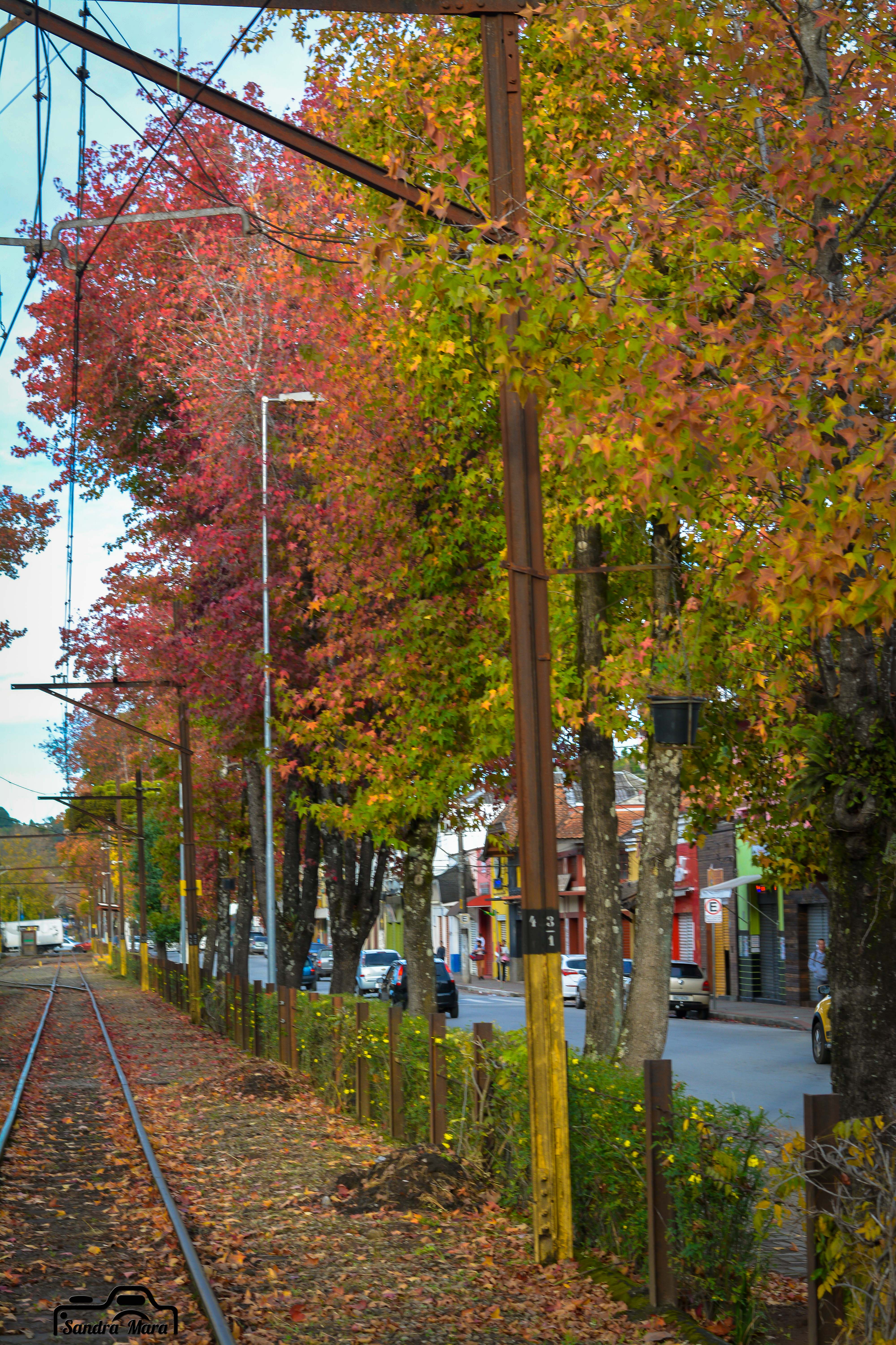 abernessia-campos-do-jordao-9