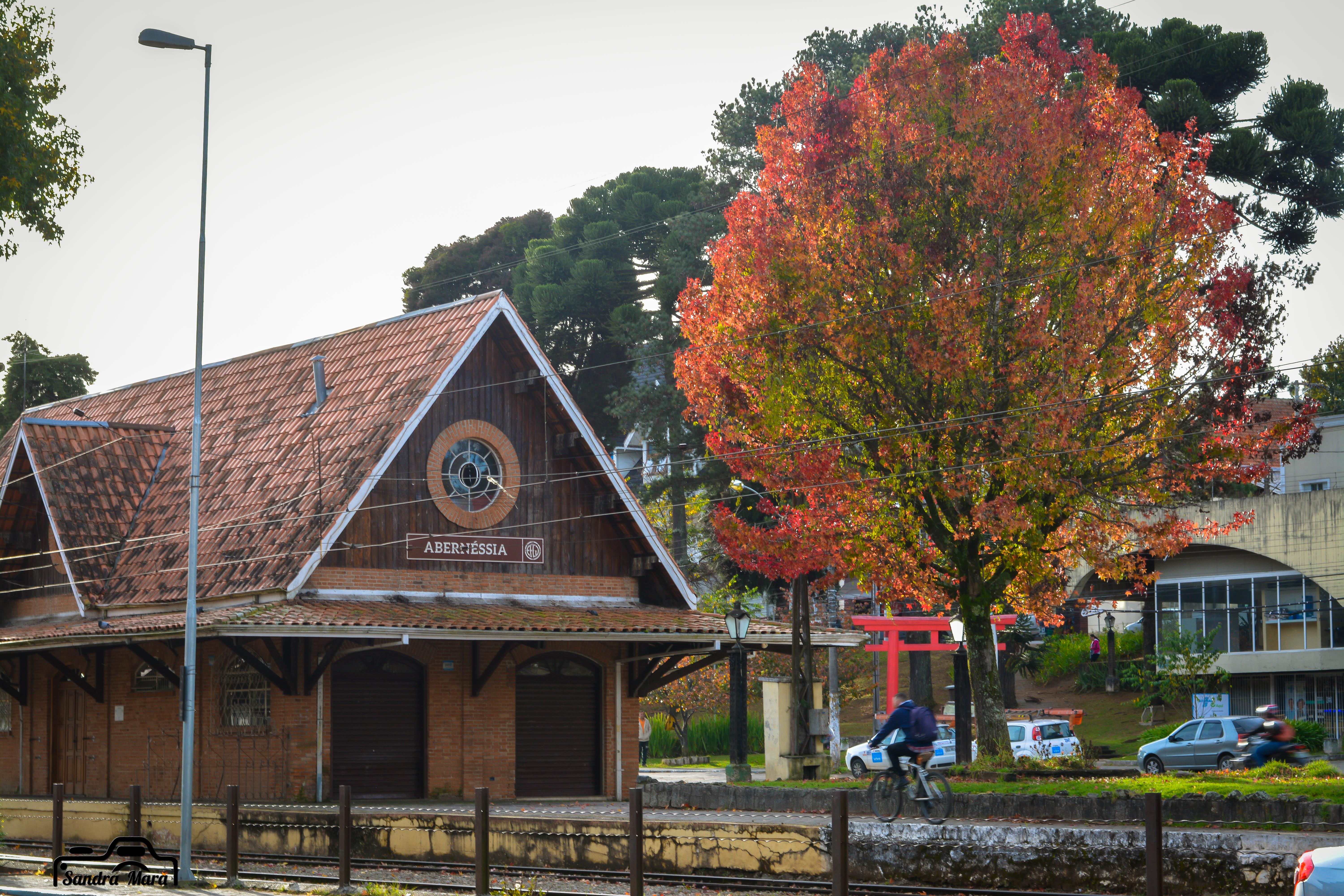abernessia-campos-do-jordao-91