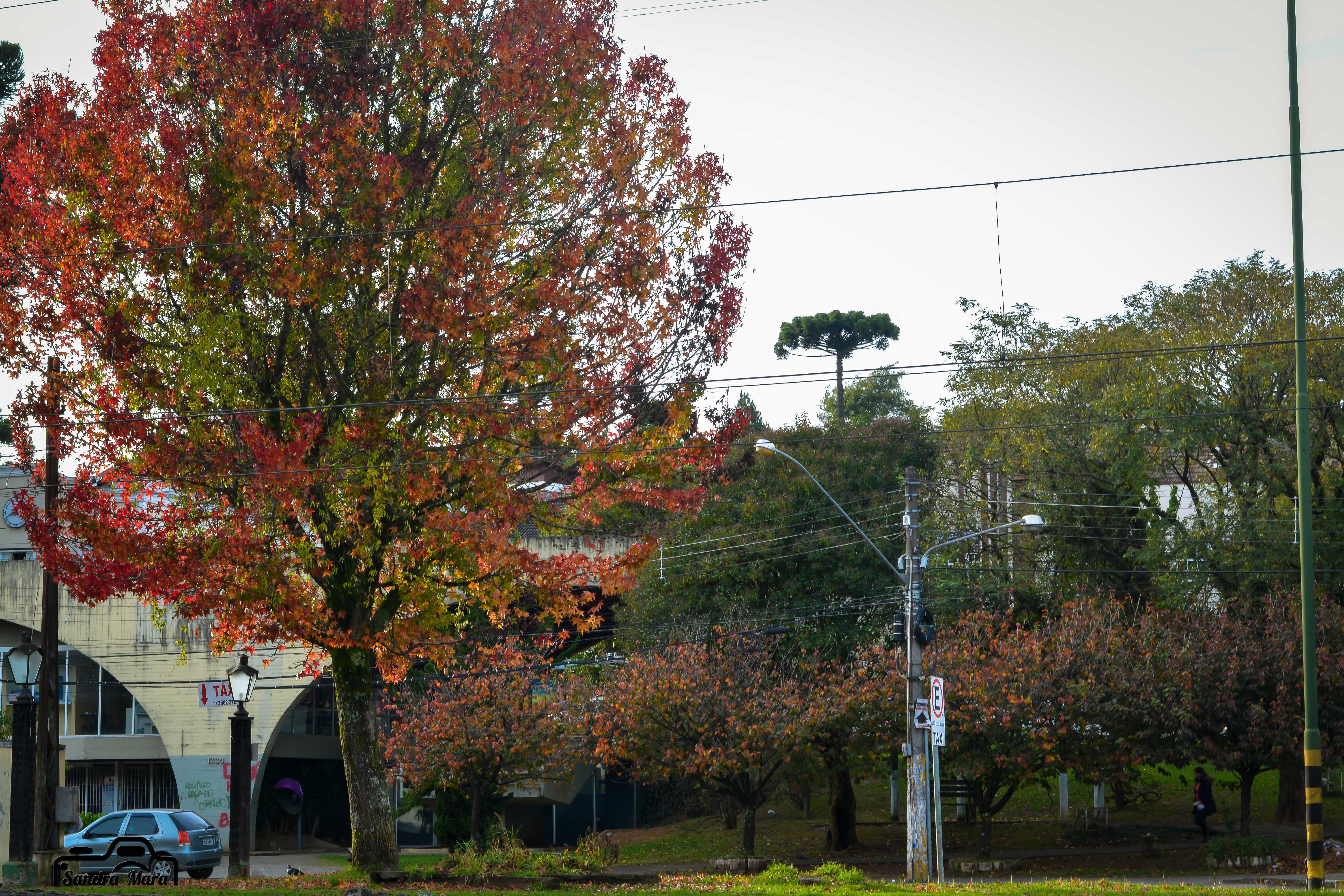 abernessia-campos-do-jordao-94