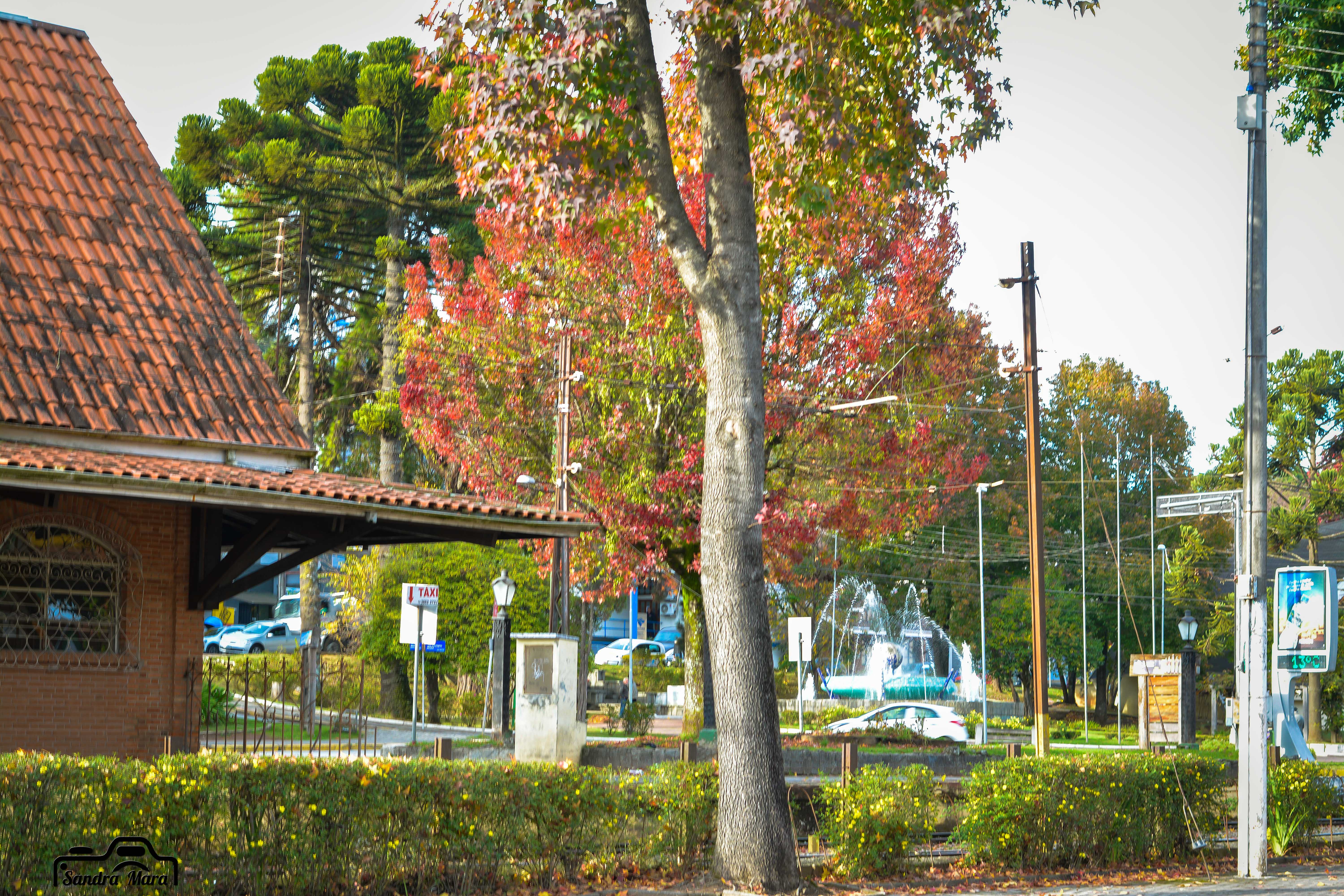 abernessia-campos-do-jordao-97