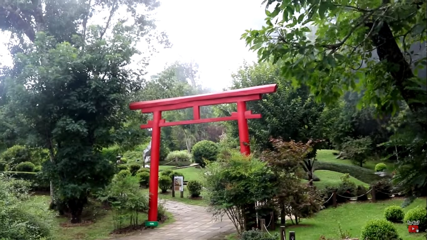 Tudo que você precisa saber sobre Campos do Jordão