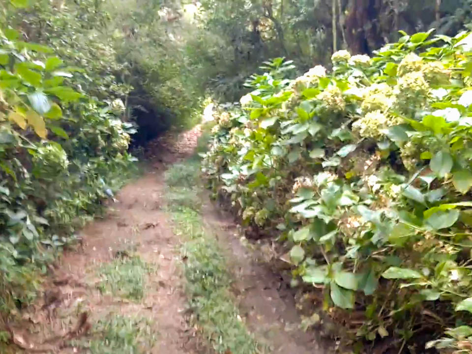 Venha conferir de perto a linda paisagem e o som incrível da Natureza em Campos do Jordão.